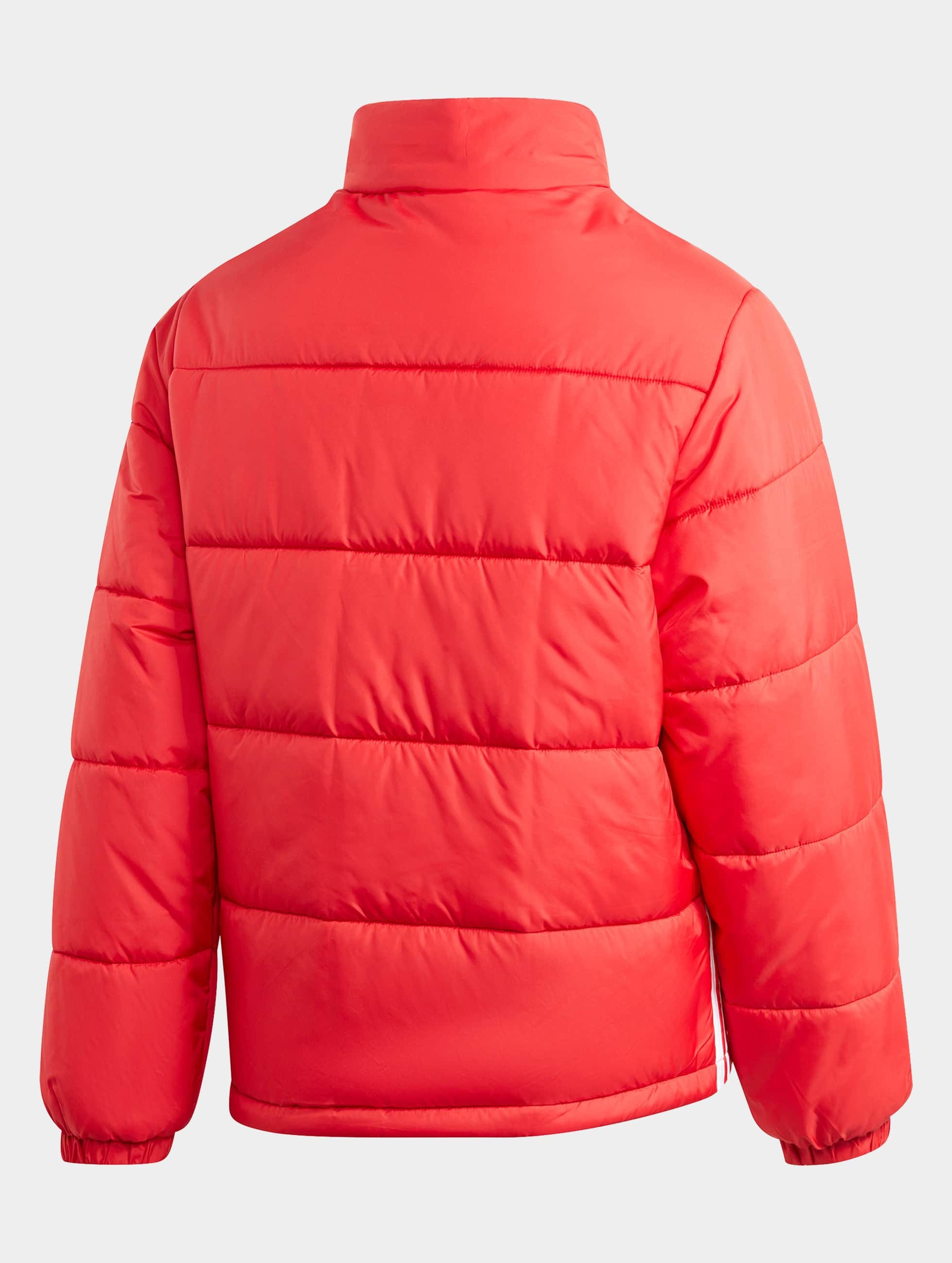 Winterjacke »Herren adidas Pad Stand Puffer«, (1 St.)