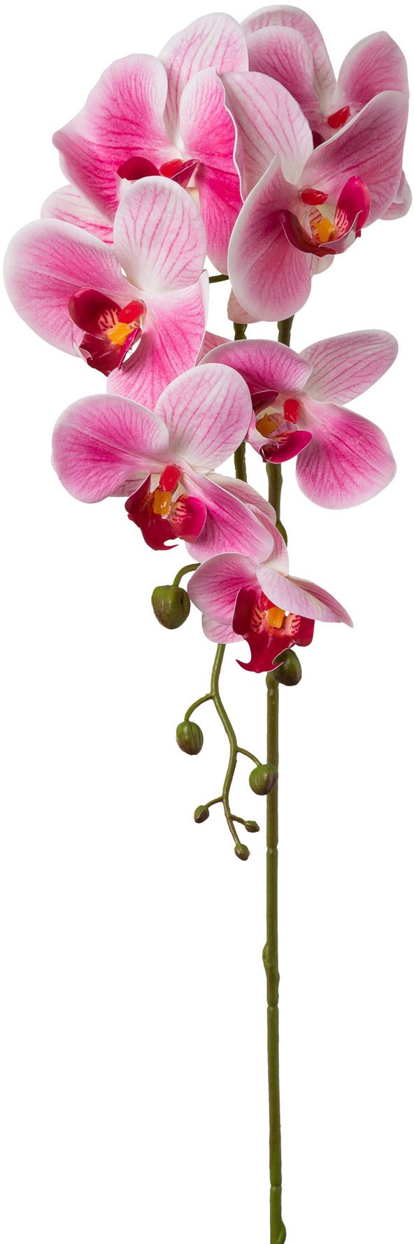 Creativ green Kunstblume »Orchidee Phalaenopsis«
