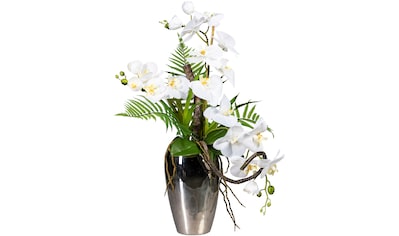 Kunstorchidee »Phalaenopsisarrangement in Keramikvase«