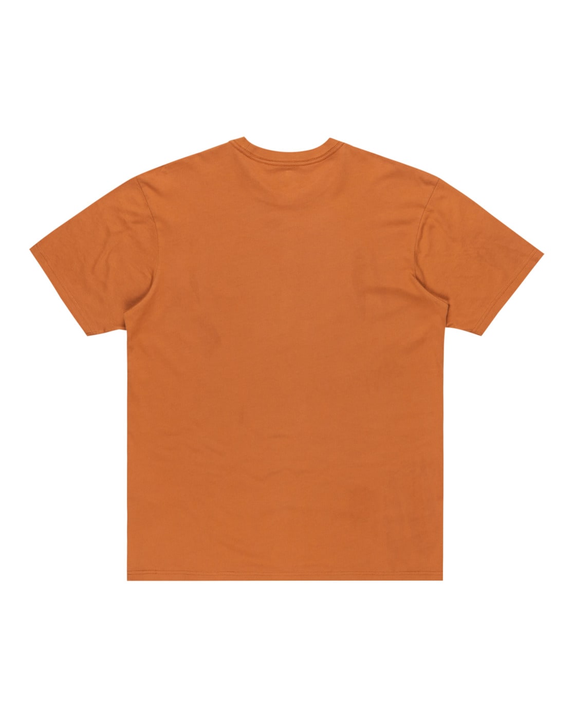 Quiksilver T-Shirt »Salt Water 2024«