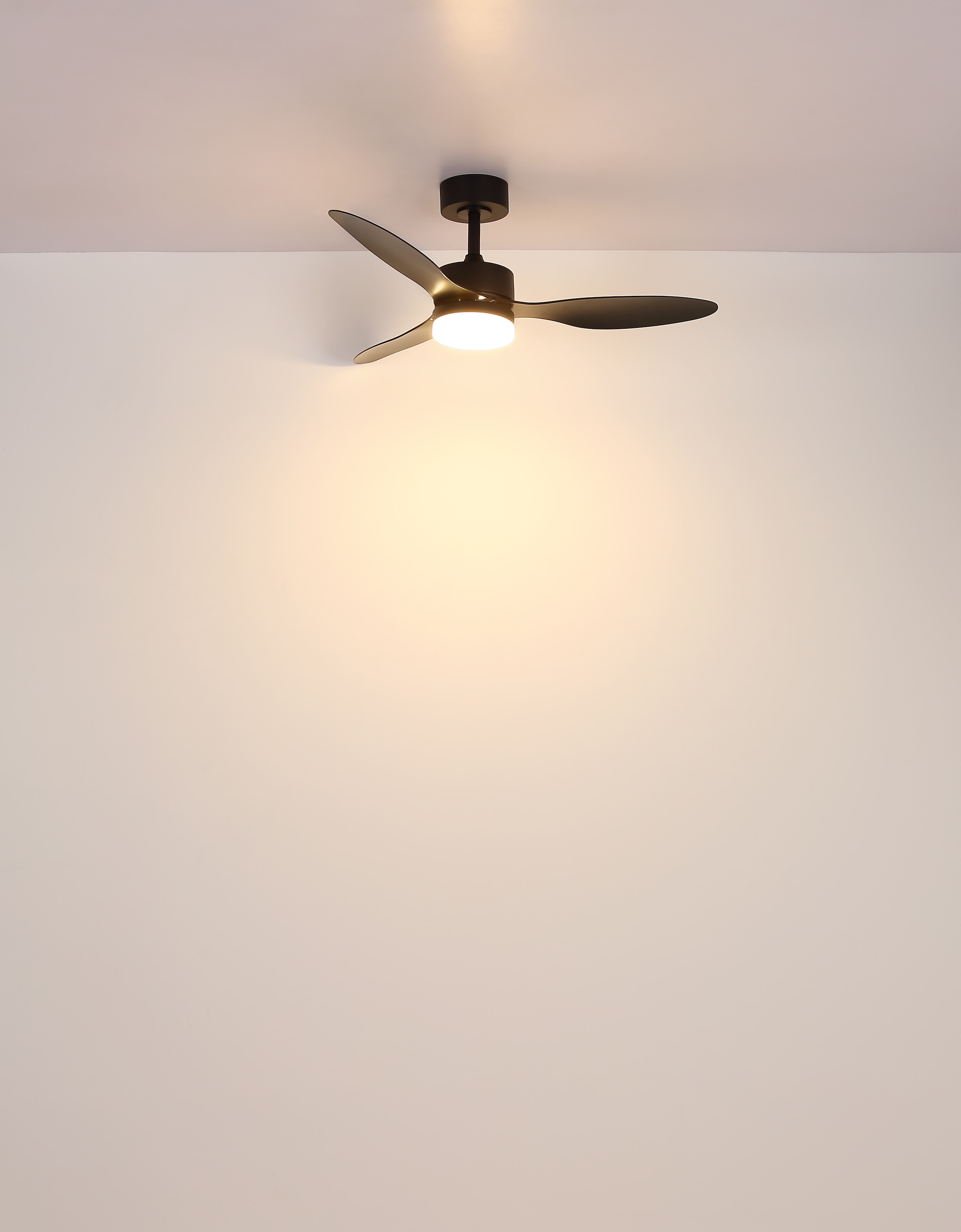 GLOBO LIGHTING Deckenleuchte »BLACKWELL« LED-Modul 1 Stk. Deckenventilator Schwarz, Opal/Kunststoff, dimmbar, LED 20W