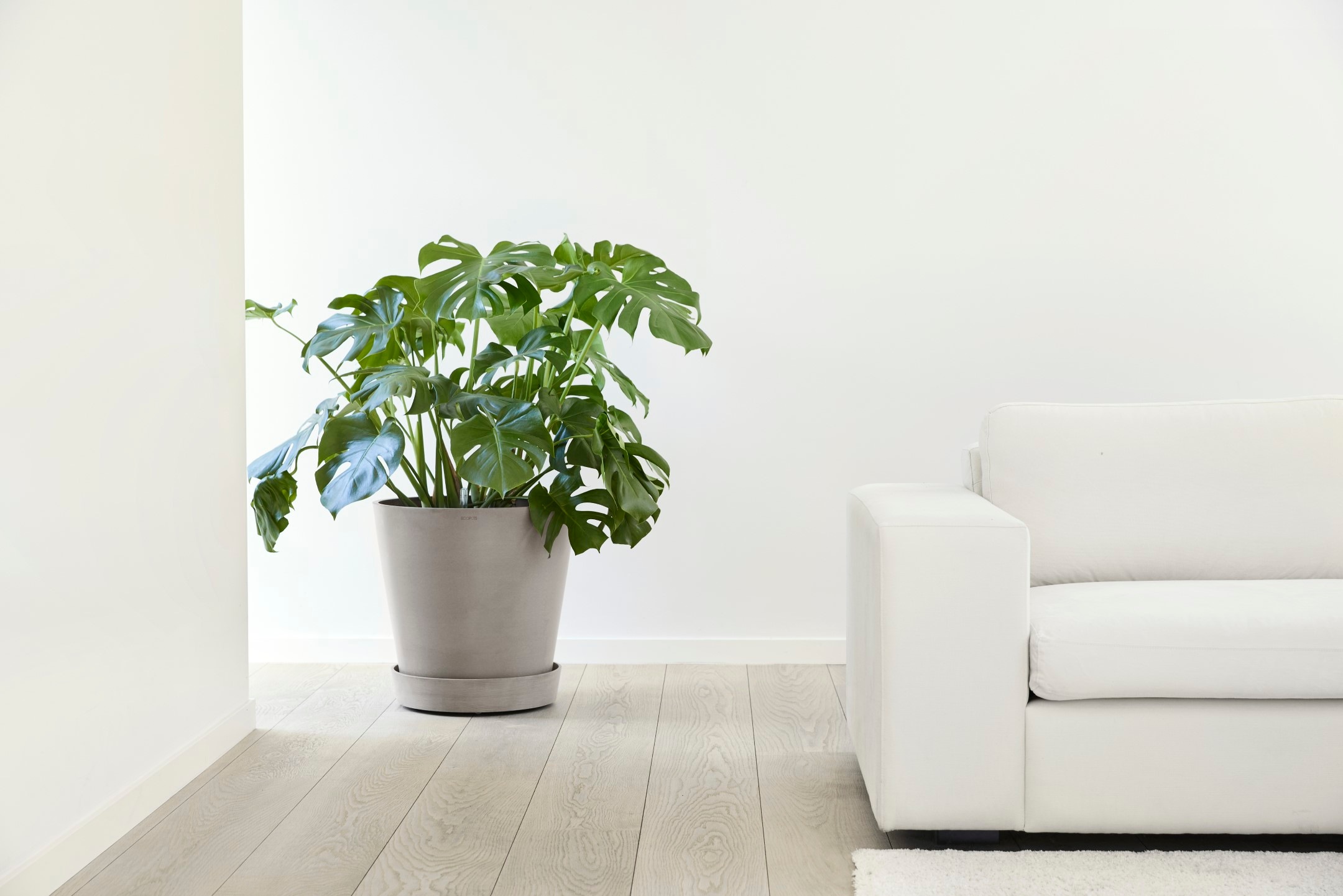 ECOPOTS Blumentopfuntersetzer »SAUCER WHEELS Taupe« BxTxH: 41,5x41,5x9 cm