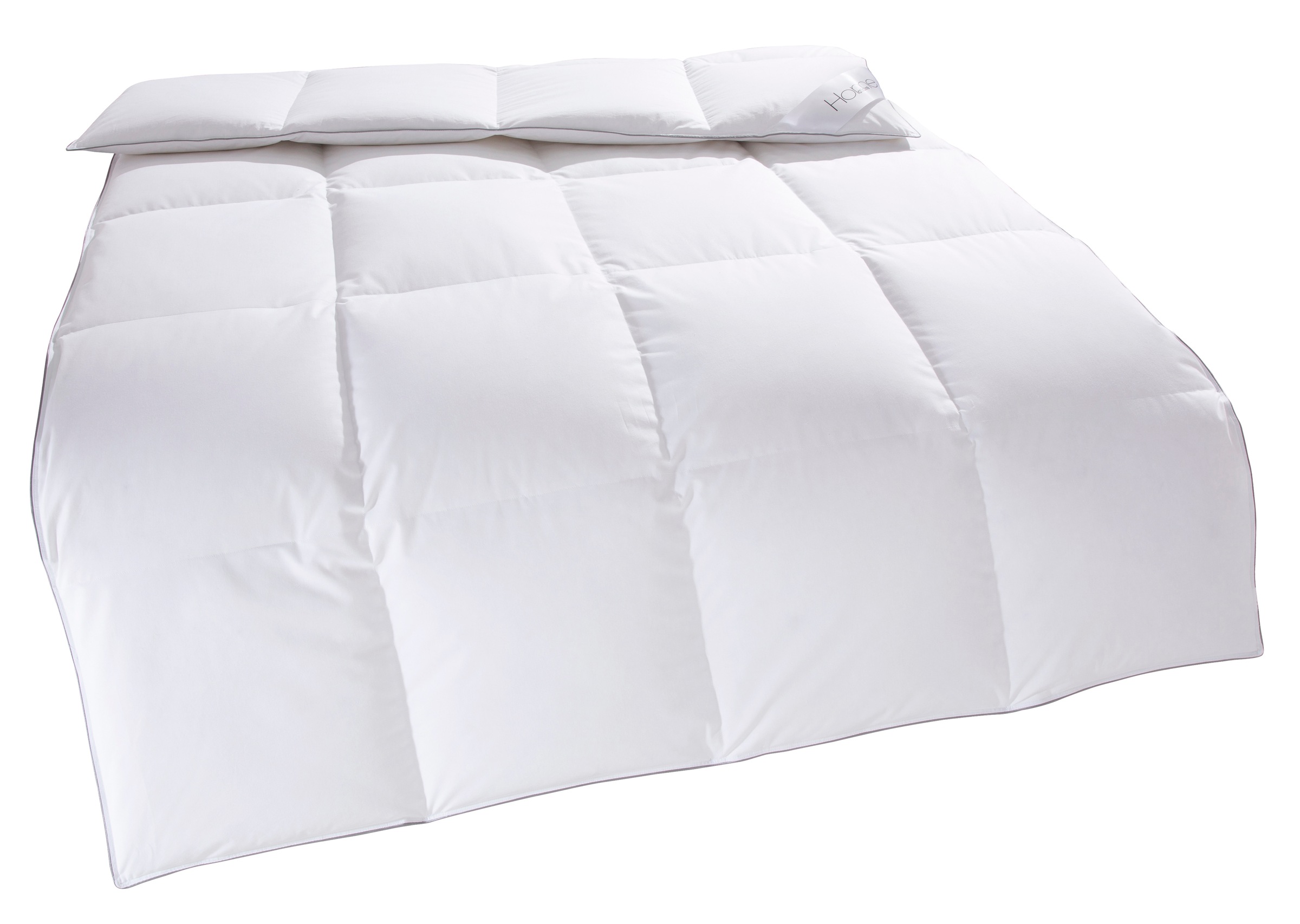 Home affaire Daunenbettdecke "Tamins, Bettdecke 135x200 cm, 155x220 cm, Mad günstig online kaufen