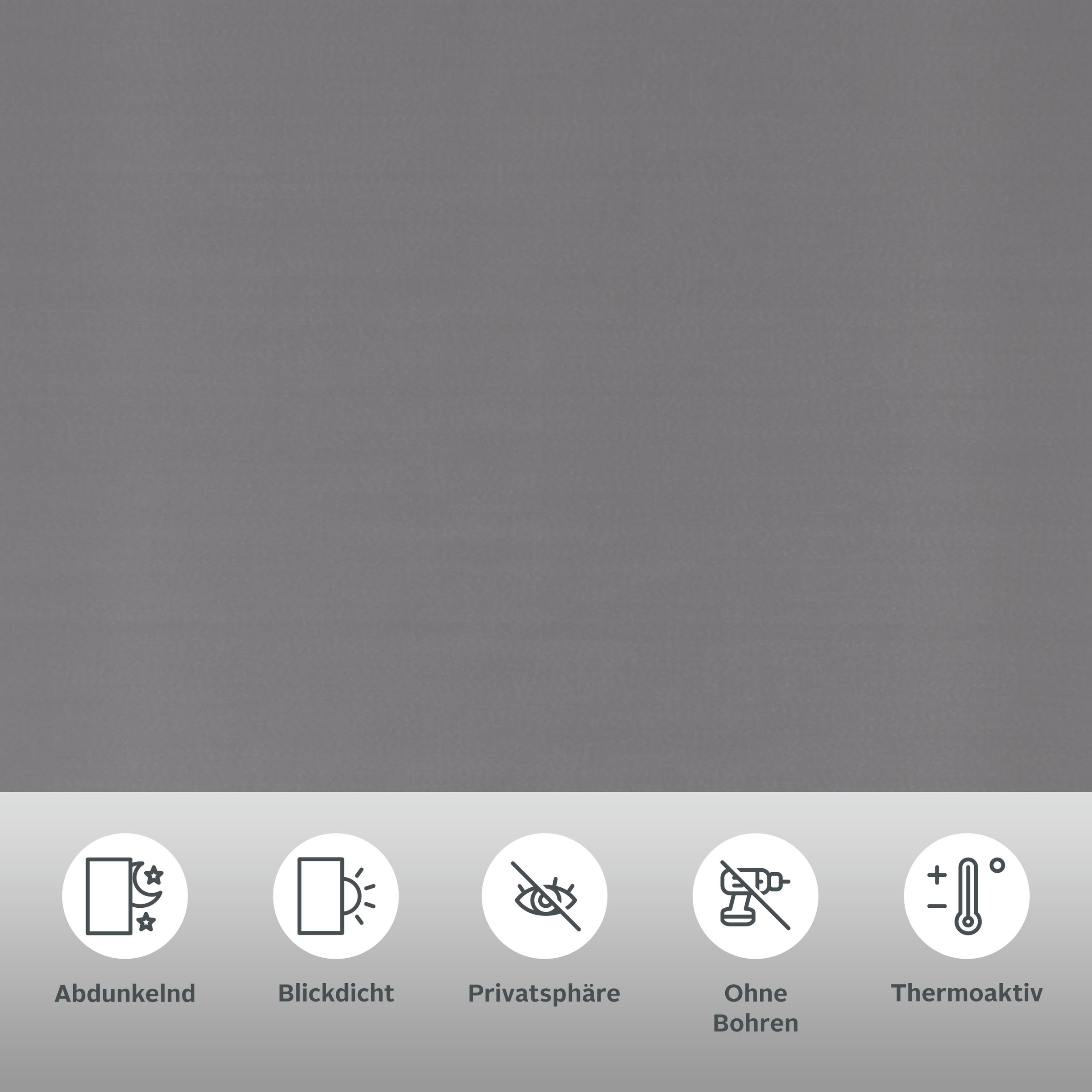 Thumbnail - my home Seitenzugrollo "THEMSE" abdunkelnd Sichtschutz  Verdunkelung  energiesparend ohne Bohren freihängend Bestseller ...