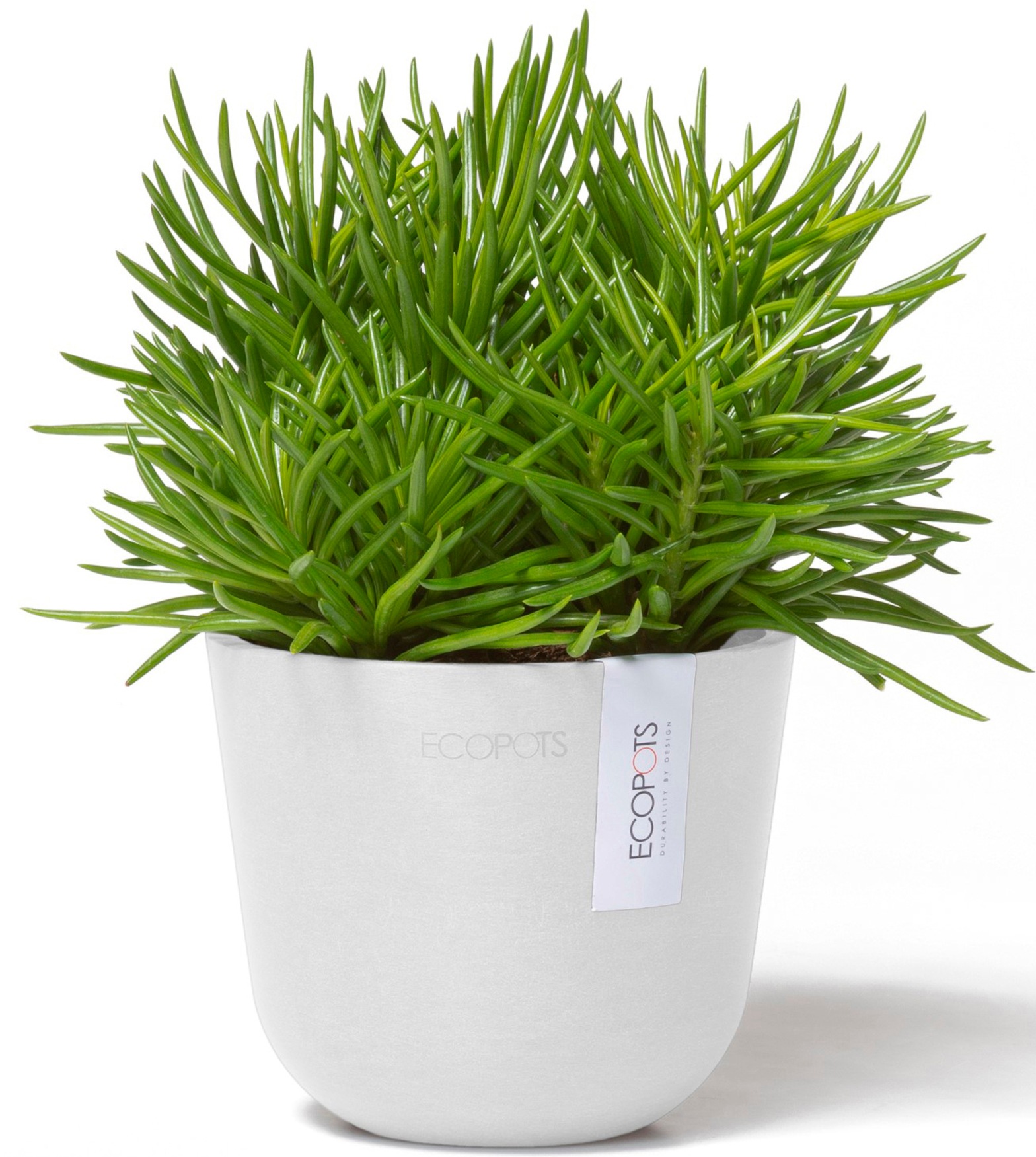 ECOPOTS Blumentopf »Oslo Mini 11,5 Weiß«, für den Innenbereich