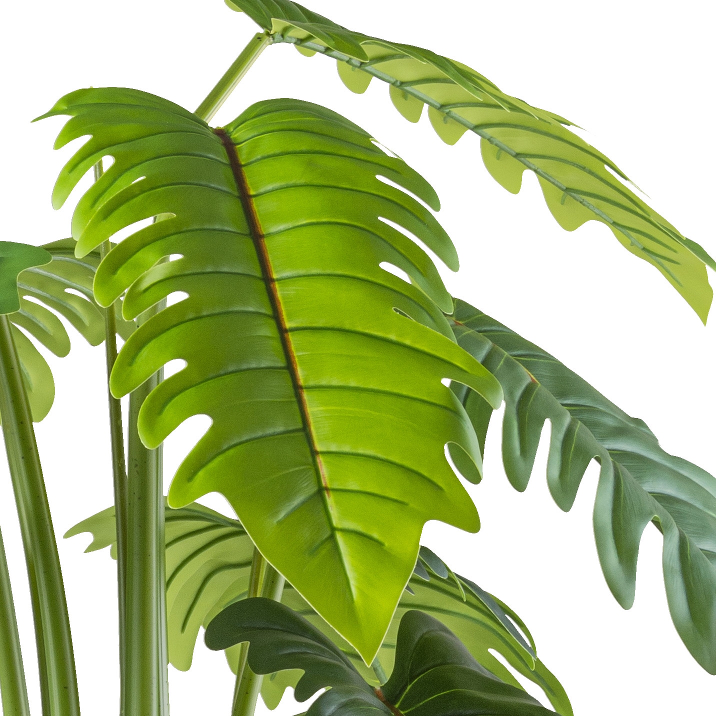 Creativ green Kunstbaum »Philodendron xanadu«, mit großformatigem Blattwerk
