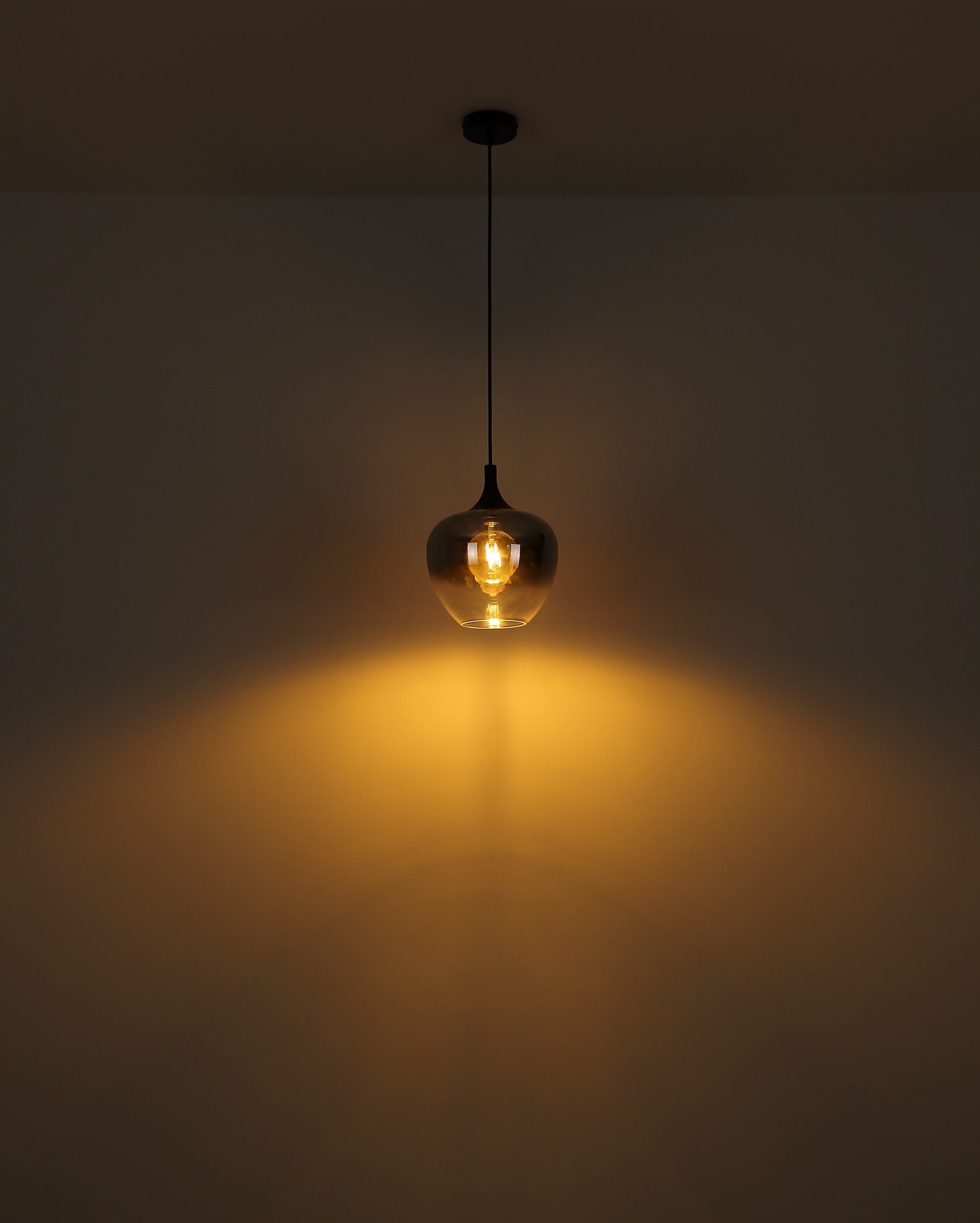 GLOBO LIGHTING Hängeleuchte »MAXY« E27 1 Stk. Hängeleuchte Schwarz, Rauchglas, E27