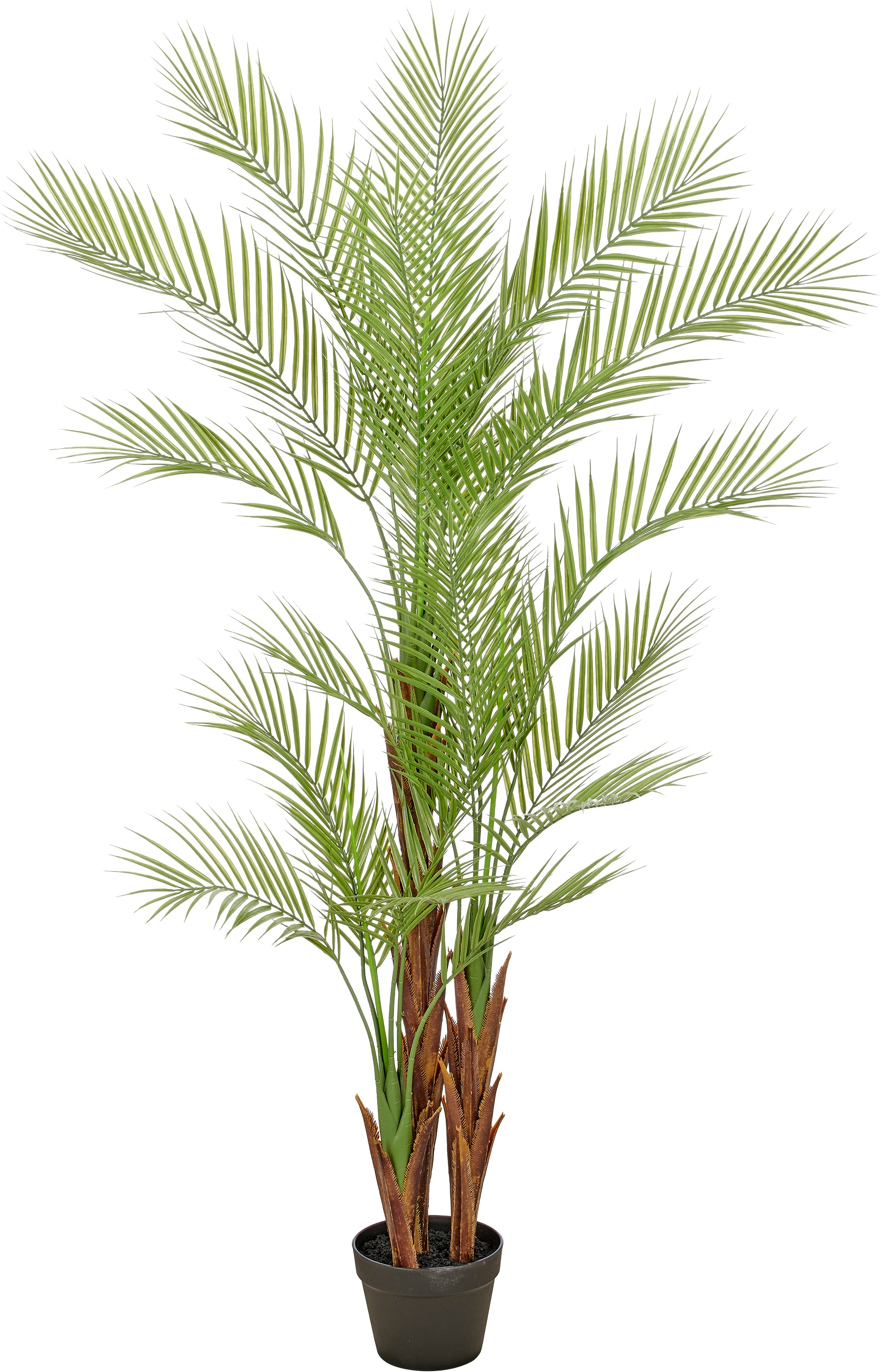 Creativ green Kunstpalme "Arecapalme" mit naturgetreuen Palmwedeln