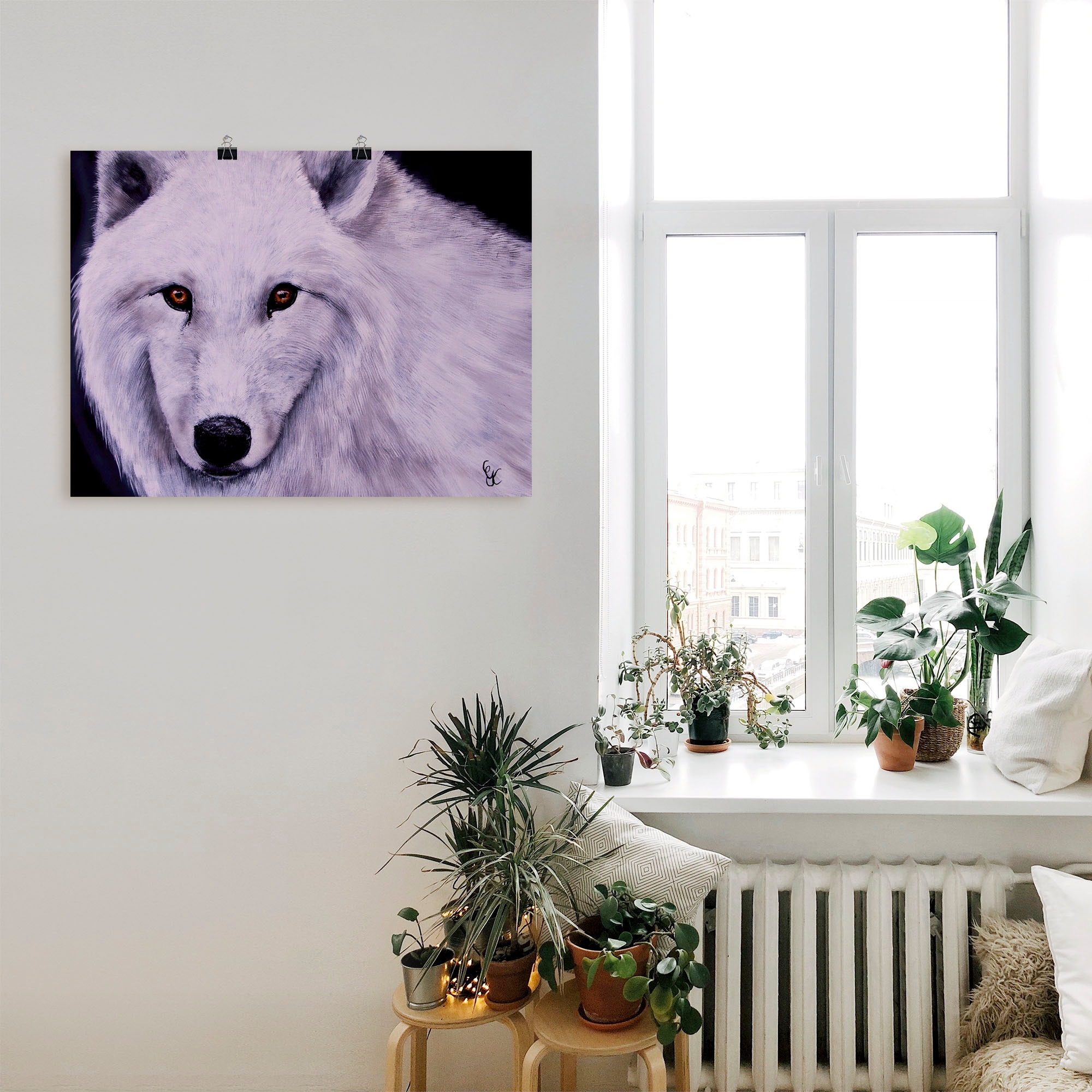 Artland Wandbild »Weißer Wolf«, Wildtiere, | in versch. Alubild, Poster (1 als Leinwandbild, oder St.), BAUR Größen Wandaufkleber kaufen