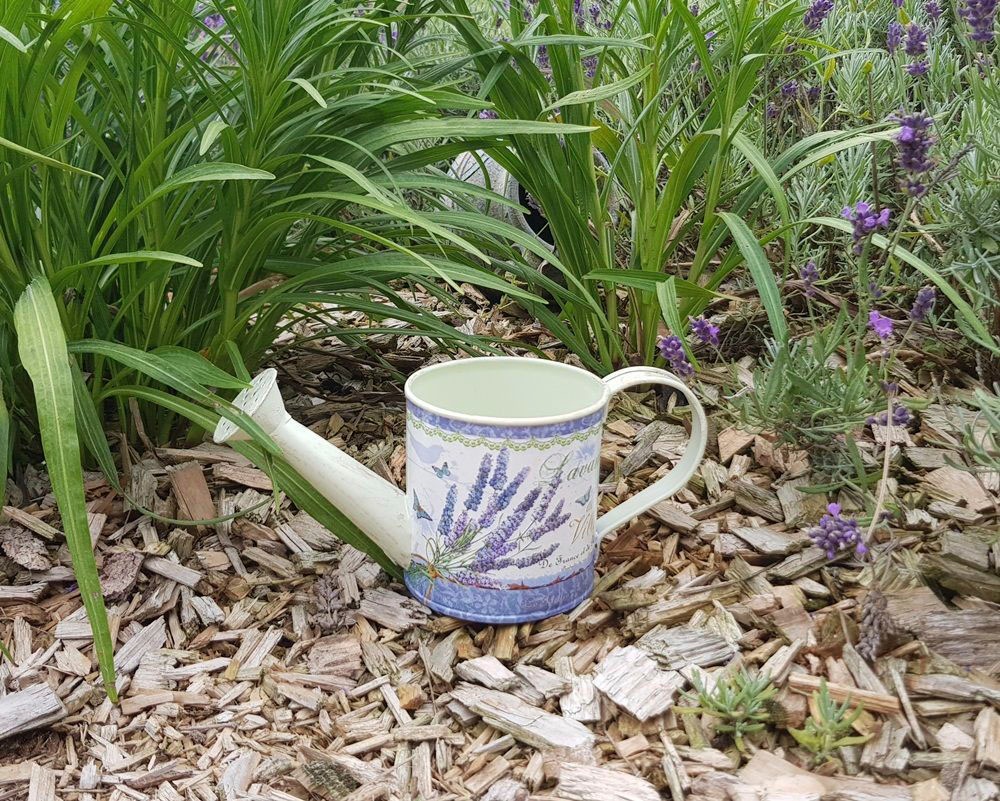 Ambiente Haus Gießkanne „Lavendel-Gießkanne klein“, (1 tlg.) antik, cremefarben Rabatt: 15 %