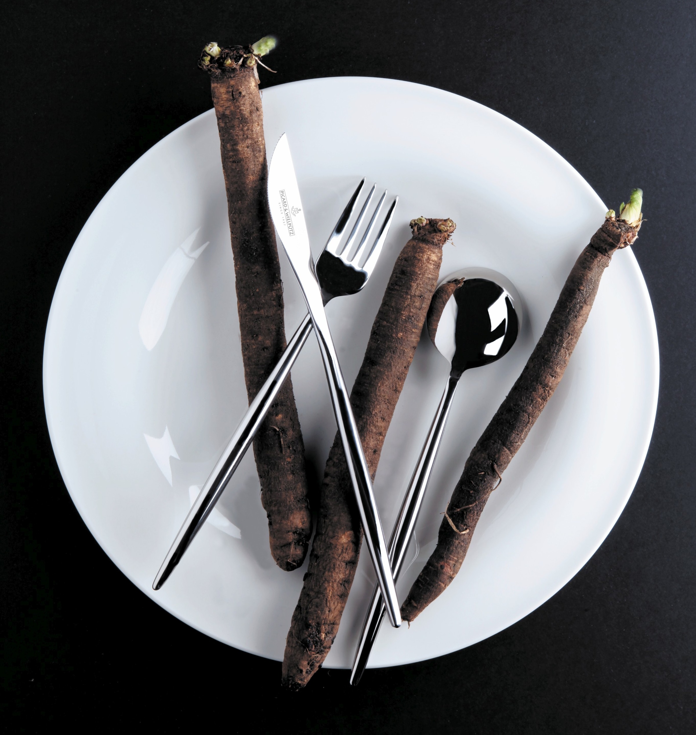 Picard & Wielpütz Solingen Besteck-Set "Lotus, wahlweise als 24-, 30- oder günstig online kaufen