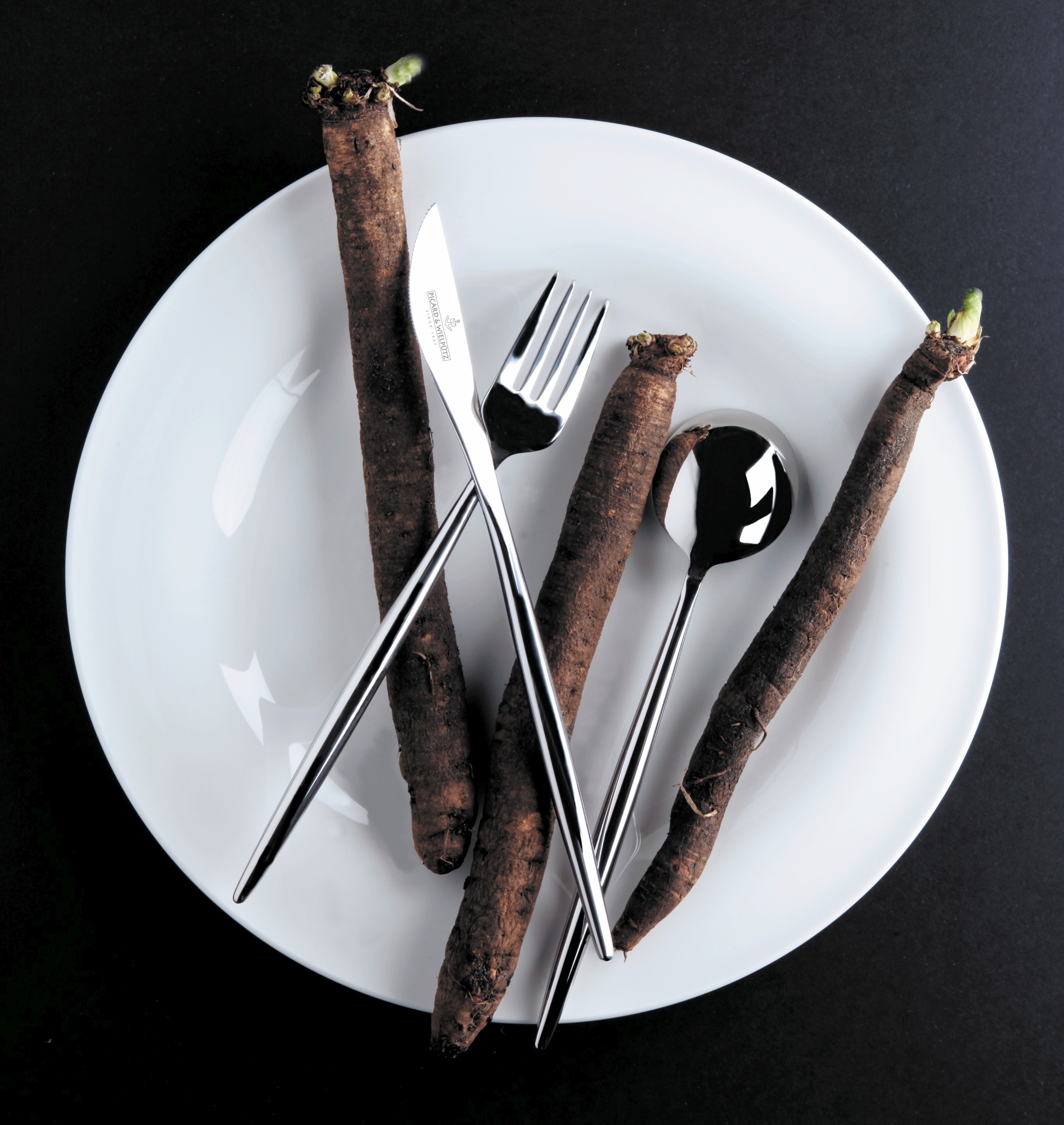 Picard & Wielpütz Solingen Besteck-Set "Lotus, wahlweise als 24-, 30- oder günstig online kaufen