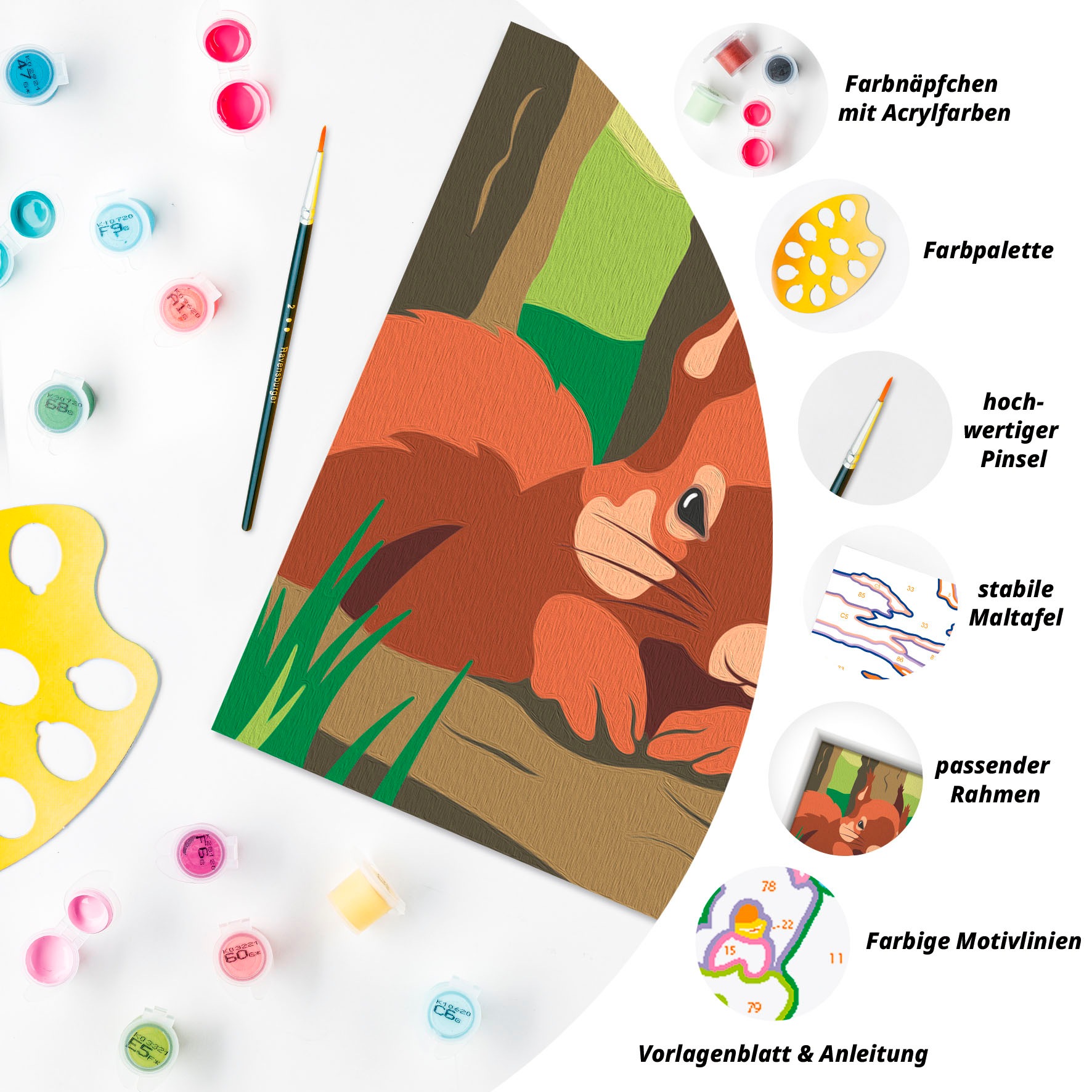Ravensburger Malen nach Zahlen »CreArt, Kuschelnde Eichhörnchen«, Made in Europe
