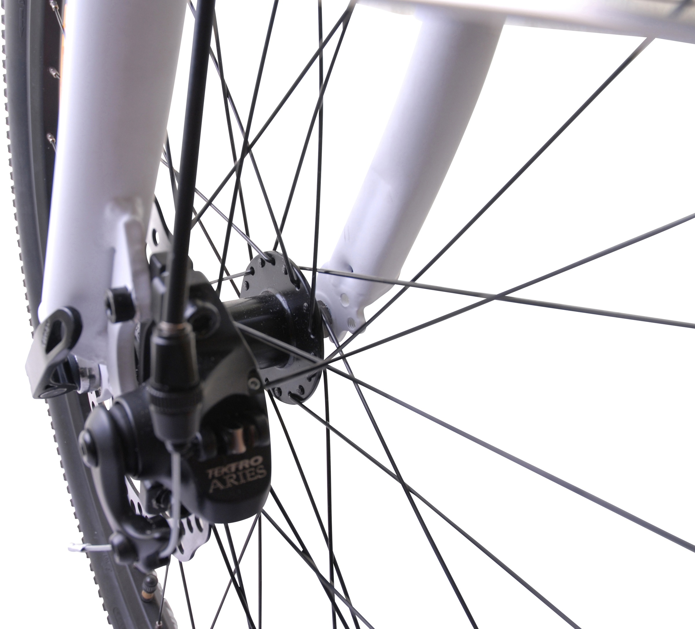 LLobe E-Bike »Voga Bianco«, 21 Gang, Shimano, Heckmotor 250 W, Pedelec, Elektrofahrrad für Damen u. Herren