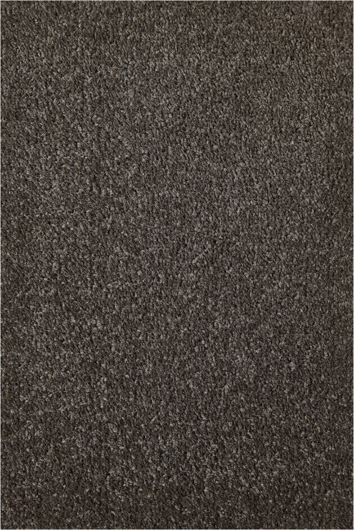 Andiamo Teppichboden »Ines, Kräuselvelours, Gesamthöhe ca. 8,5 mm, Luxusklasse LC2« rechteckig 21 mm Höhe Uni Farben, Breite 400 cm, strapazierfähig & pflegeleicht