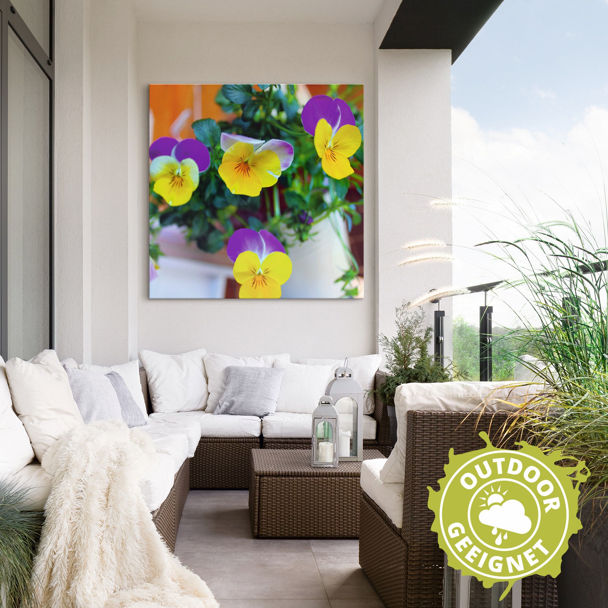 Artland Wandbild »Hornveilchen«, Blumenbilder, (1 St.), als Alubild, Leinwandbild, Wandaufkleber oder Poster in versch. Größen