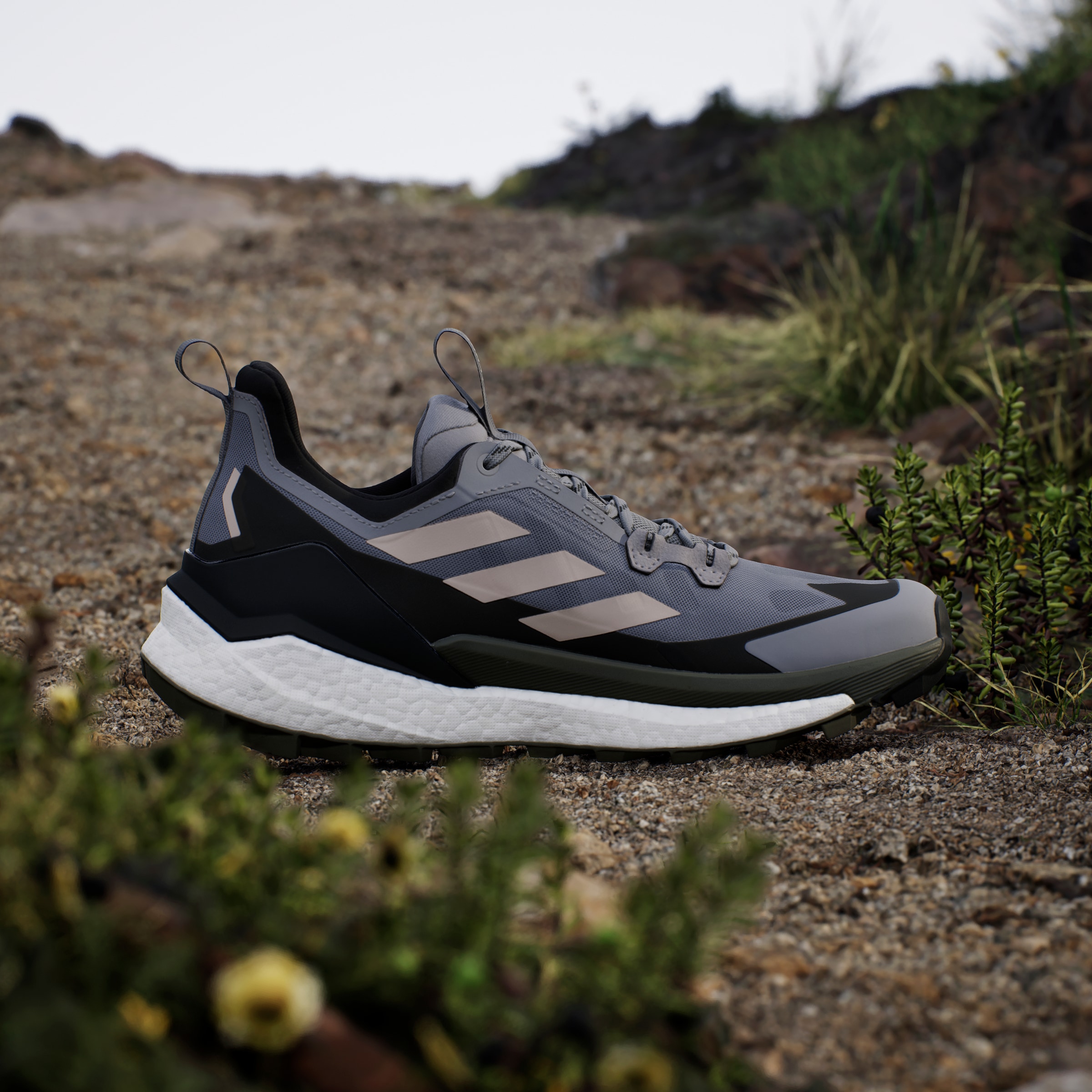 adidas TERREX Wanderschuh »TERREX FREE HIKER 2.0 LOW«