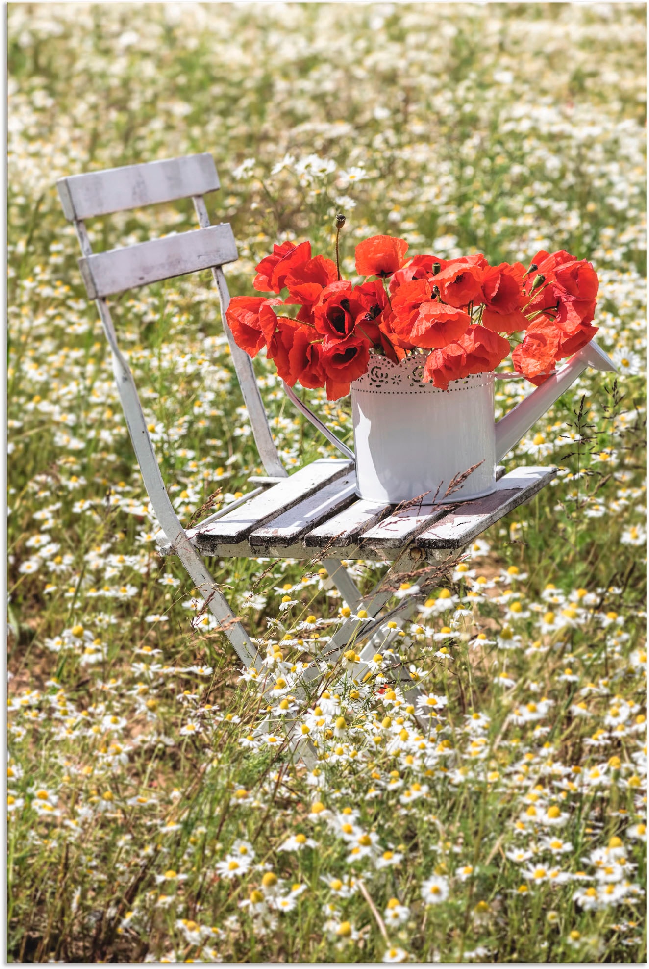 Artland Alu-Dibond-Druck »Stuhl im Kamille Feld mit Mohnblüten«, Blumenwiese, (1 St.), für Innen- und Außenbereich geeignet, Outdoorbild