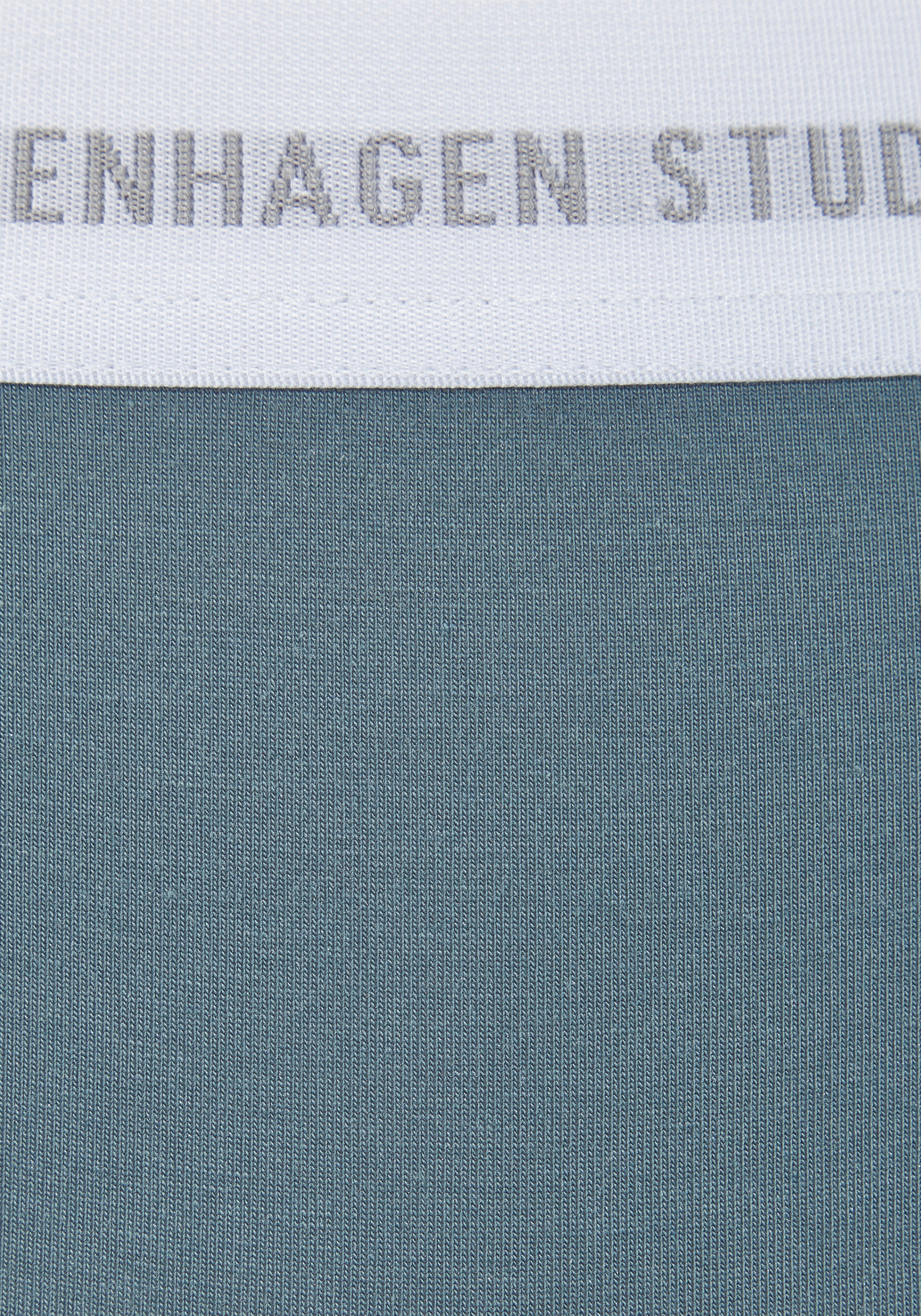 Thumbnail - Copenhagen Studios Bikinislip mit elastischem Logobund