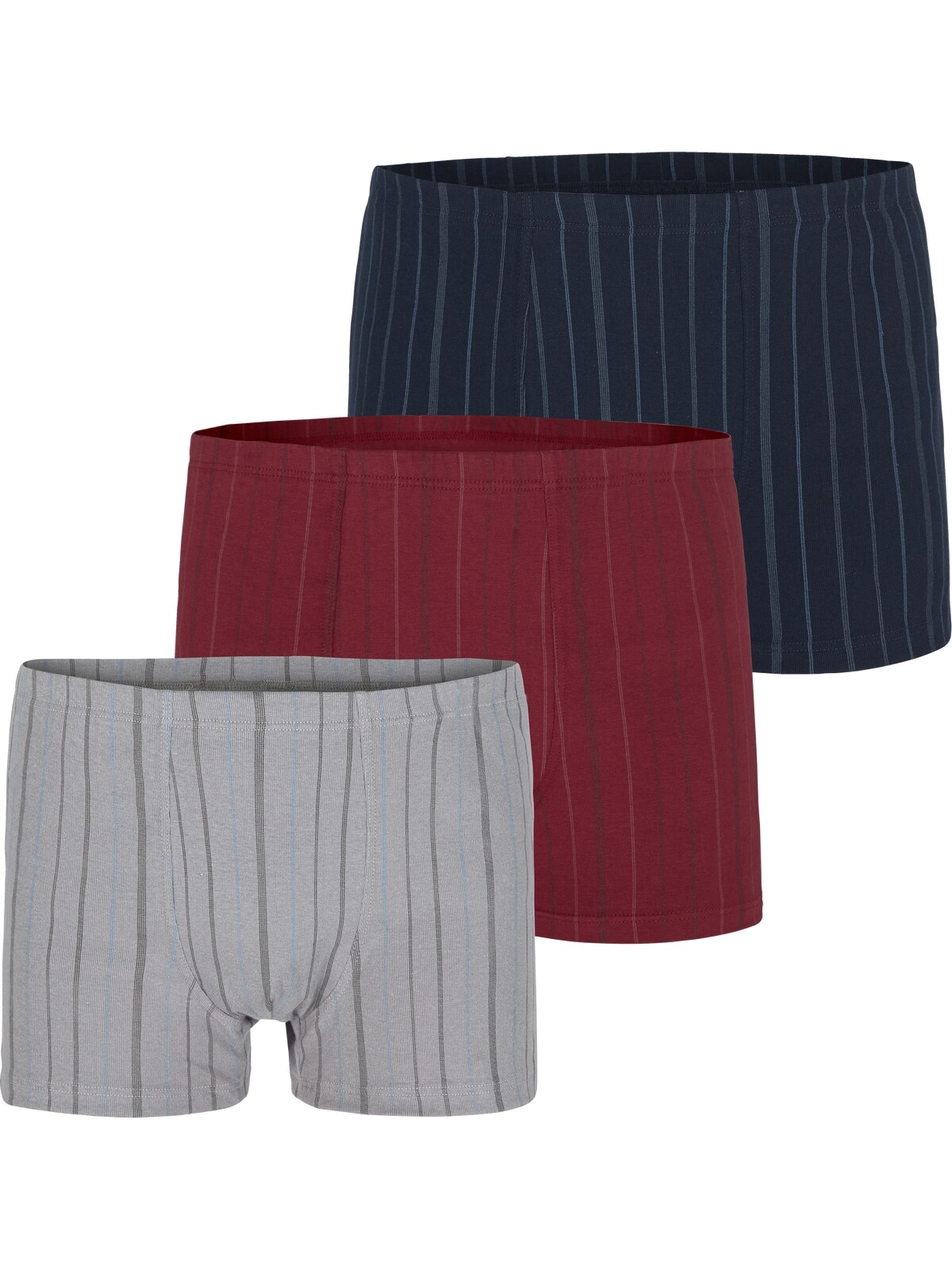 Retro Pants »3er Pack Retropant LORD HILLNEW«