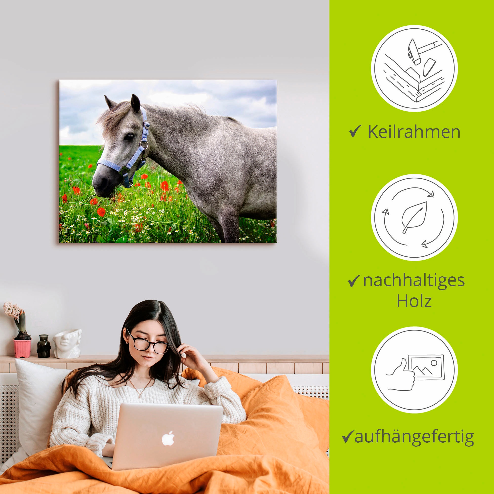 Artland Wandbild »Welshpony«, Haustiere, (1 St.), als Leinwandbild, Wandaufkleber in verschied. Größen