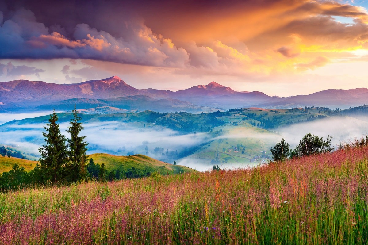 Papermoon Fototapete »Blumen mit Windmühle«