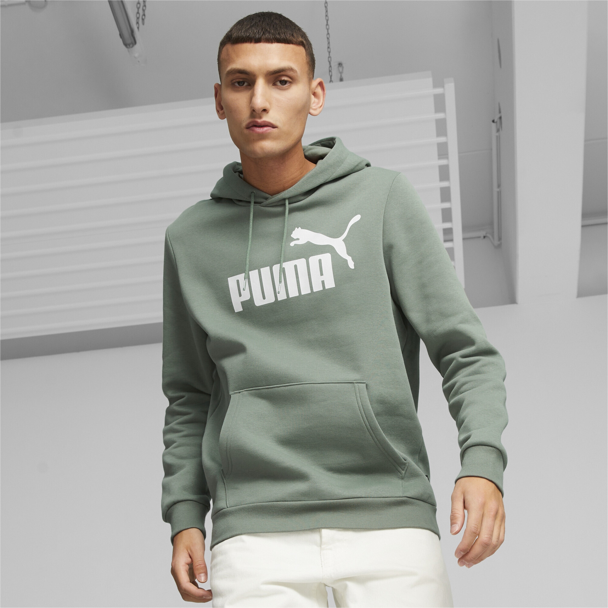 | bestellen Big ▷ Sweatshirt Logo BAUR PUMA »Essentials Herren-Hoodie«