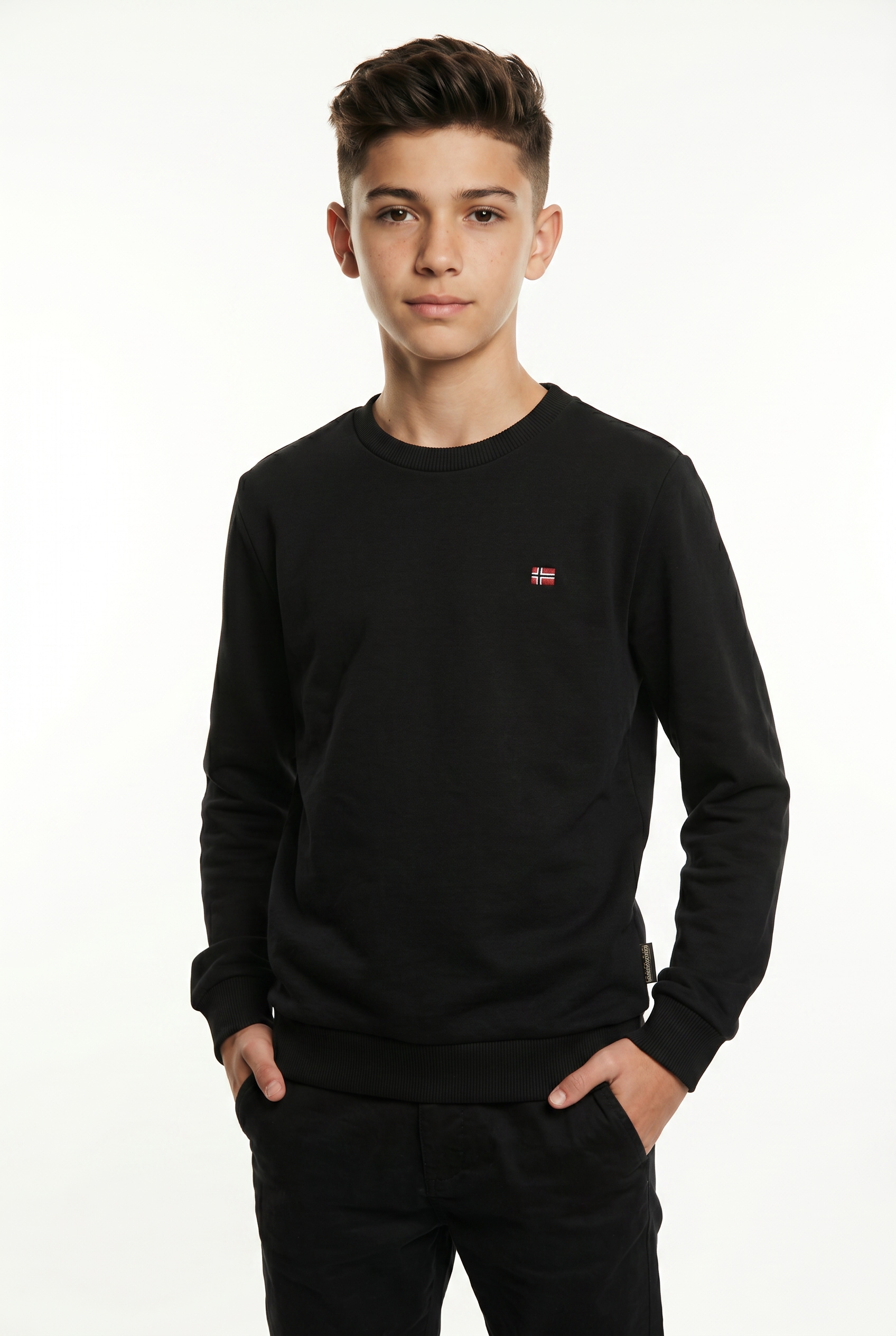 Napapijri Sweatshirt, klassische Sweatshirt-Ausführung, aus Baumwolle und Polyester