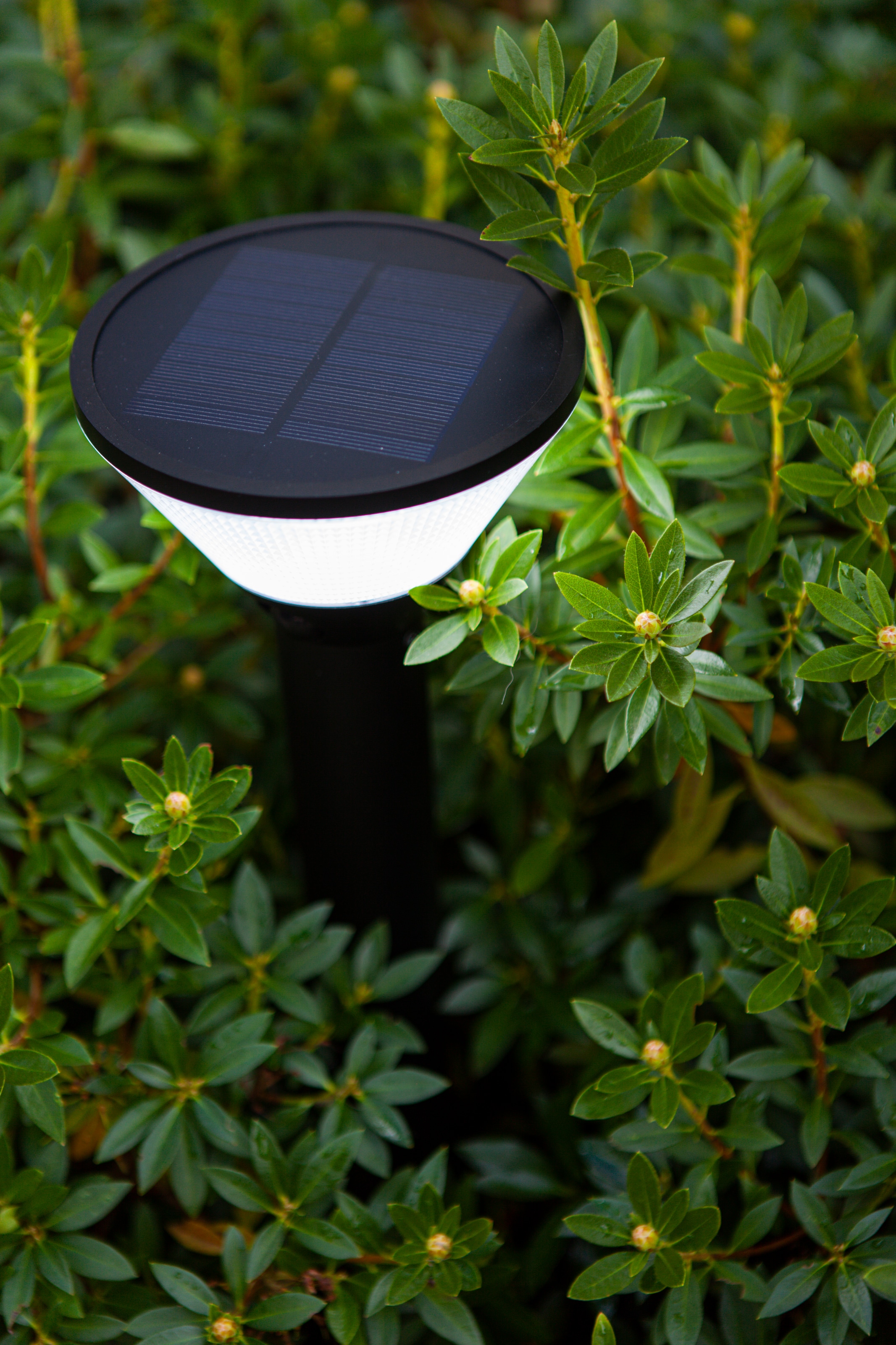 LUTEC LED Solarleuchte »LED-Solar-Aussenstehl. KARLO«, 1 flammig, Leuchtmittel LED-Board | LED fest integriert