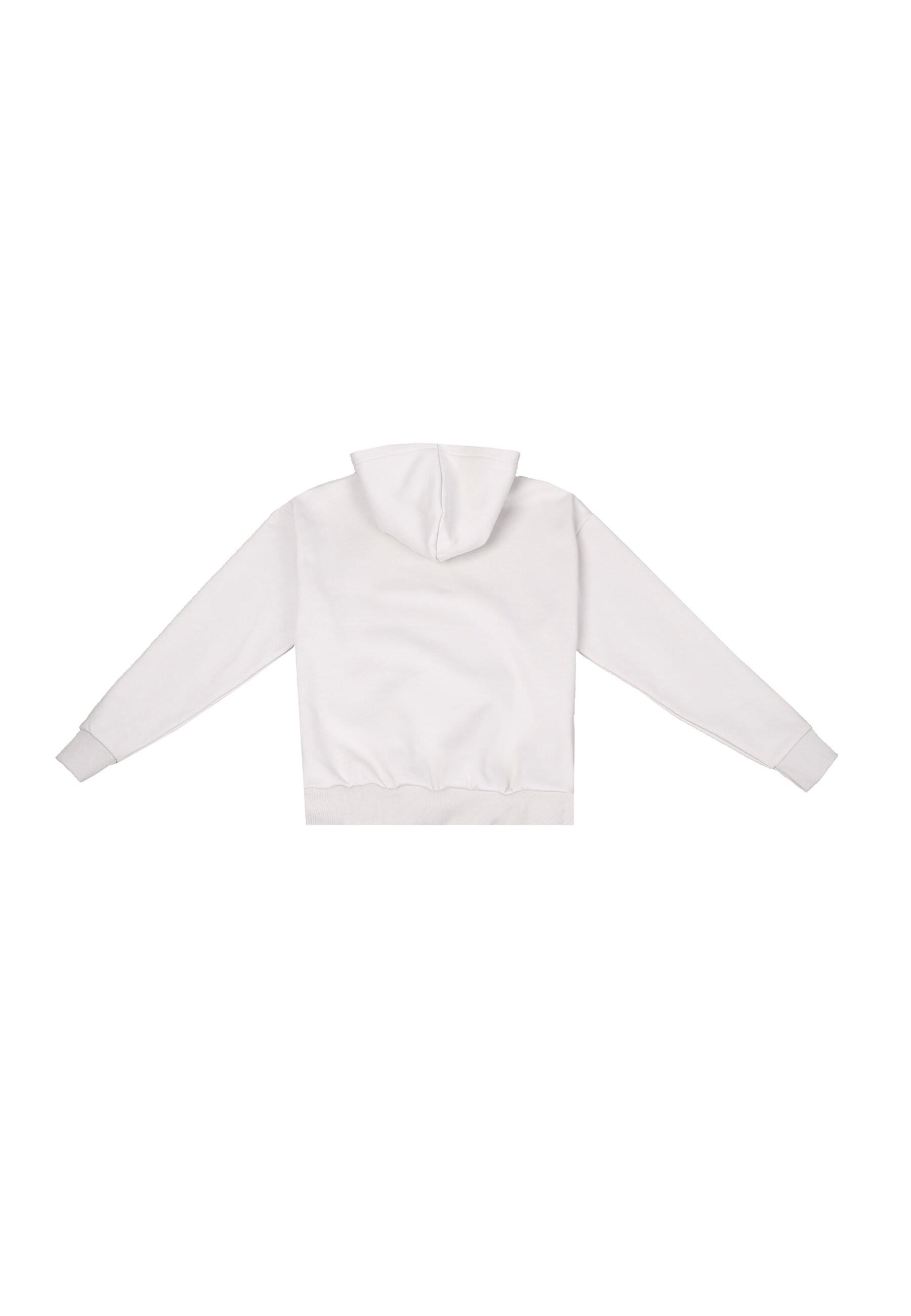 Dropsize Kapuzensweatshirt "Dropsize HEAVY OVERSIZE METAL PATCH HOODIE", 1 günstig online kaufen