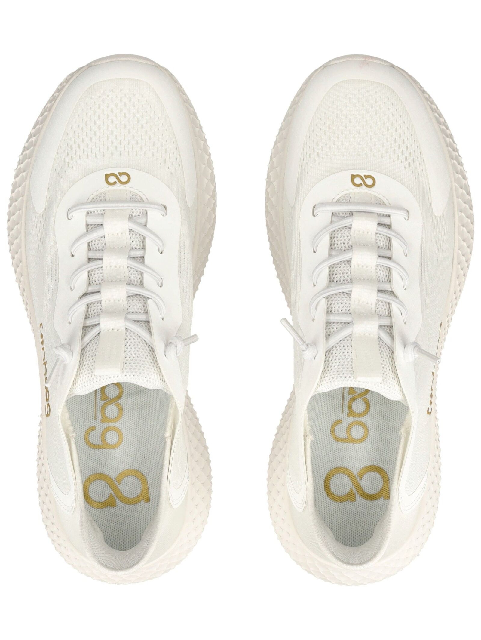 Tenhaag Sneaker »Tenhaag Sneaker Mesh«