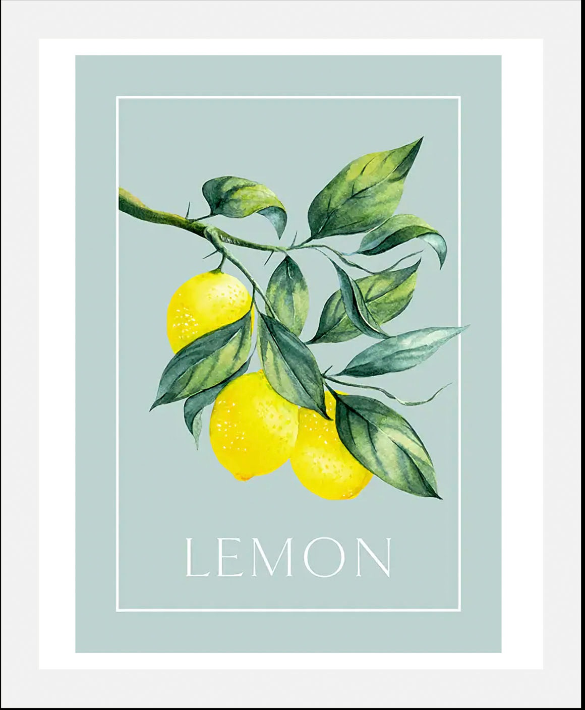 queence Bild mit Rahmen »oder Poster, Lemon - Zitronenzweig«, Obst-Obst Bilder-Schriftzug-Figuren-Abstrakt, (1 St.), HD Premium Druck