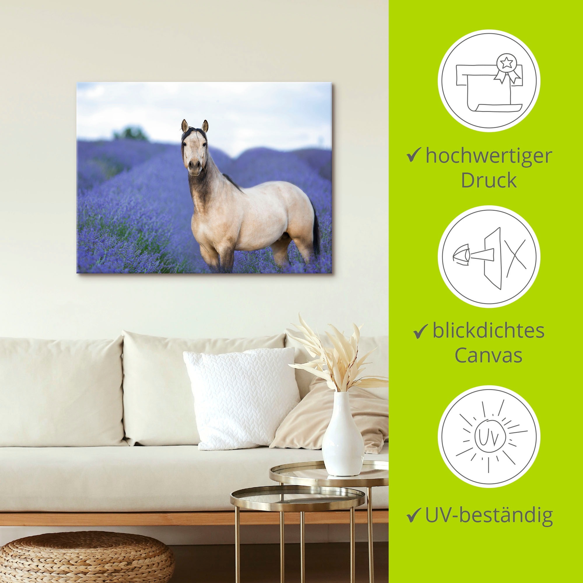 Artland Wandbild »Pferd und Blumen III«, Haustiere, (1 St.), als Leinwandbild, Poster in verschied. Größen