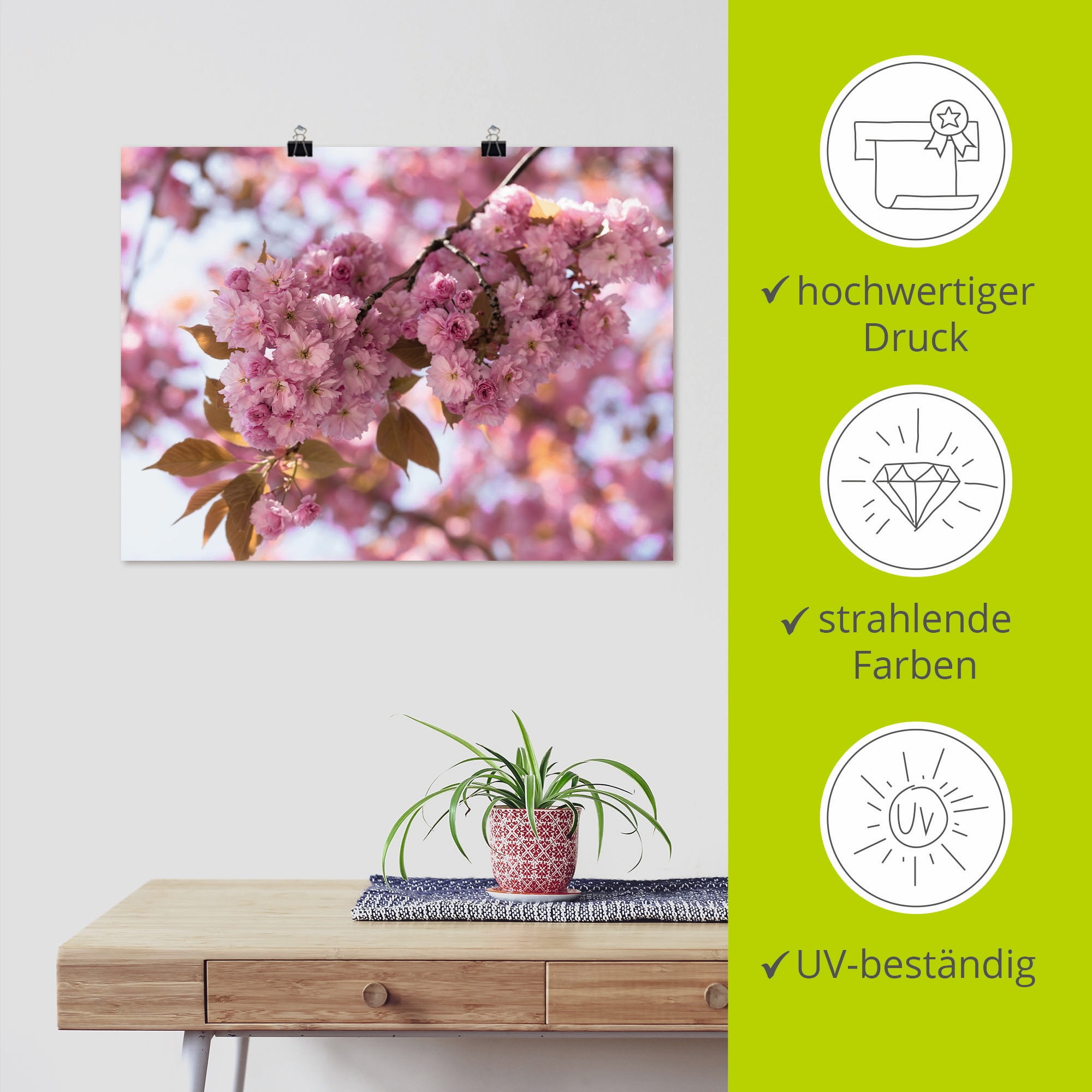 Artland Wandbild »Japanische Kirschblüte in Love I«, Blumen, (1 St.), als Leinwandbild, Poster, Wandaufkleber in verschied. Größen