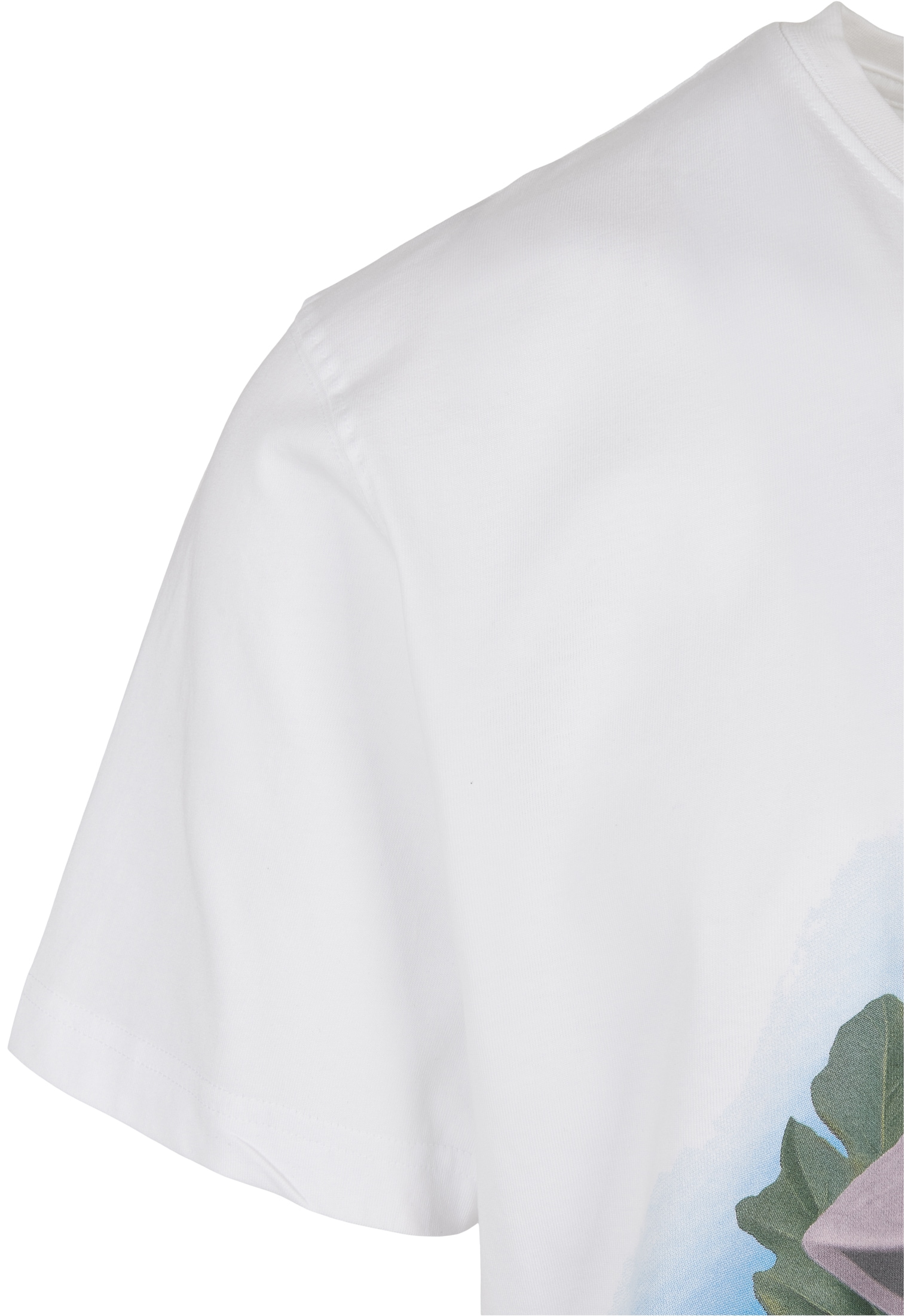 CAYLER & SONS Kurzarmshirt »Cayler & Sons Herren C&S Safari Head Tee«, (1 tlg.)