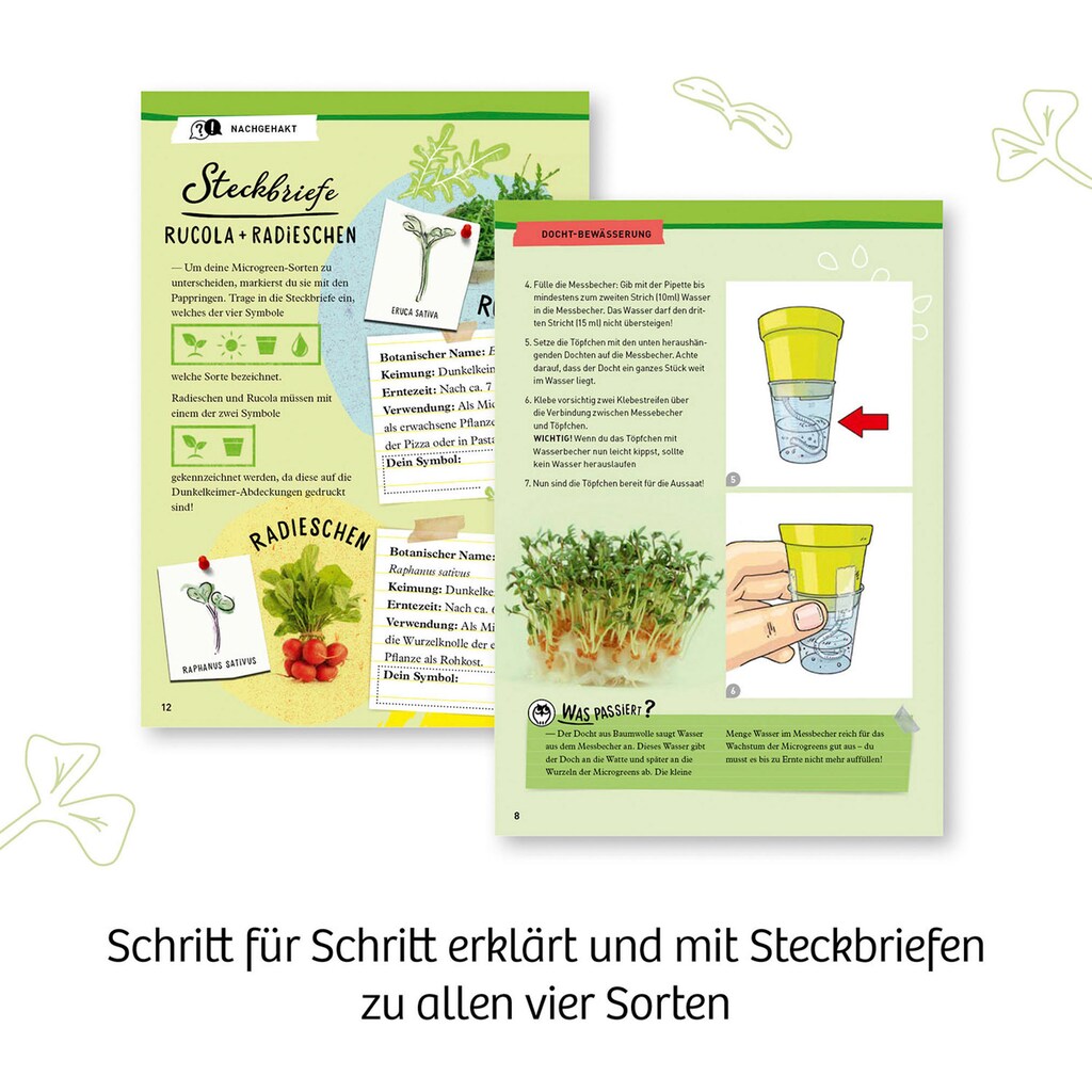 Kosmos Experimentierkasten »Microgreen-Garten«