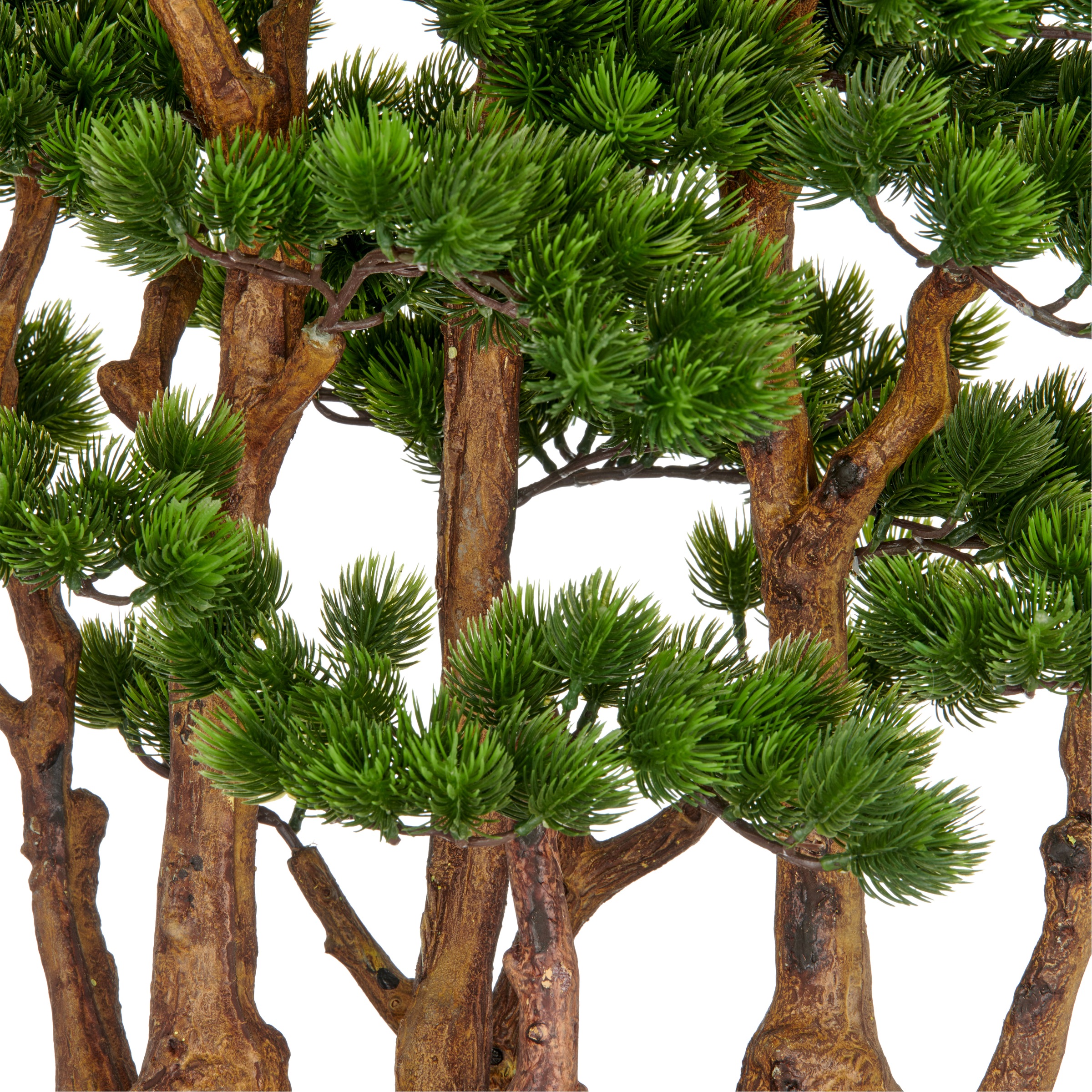 Creativ green Kunstbonsai »Bonsai Kiefer«, mit detailgetreuer Gestaltung