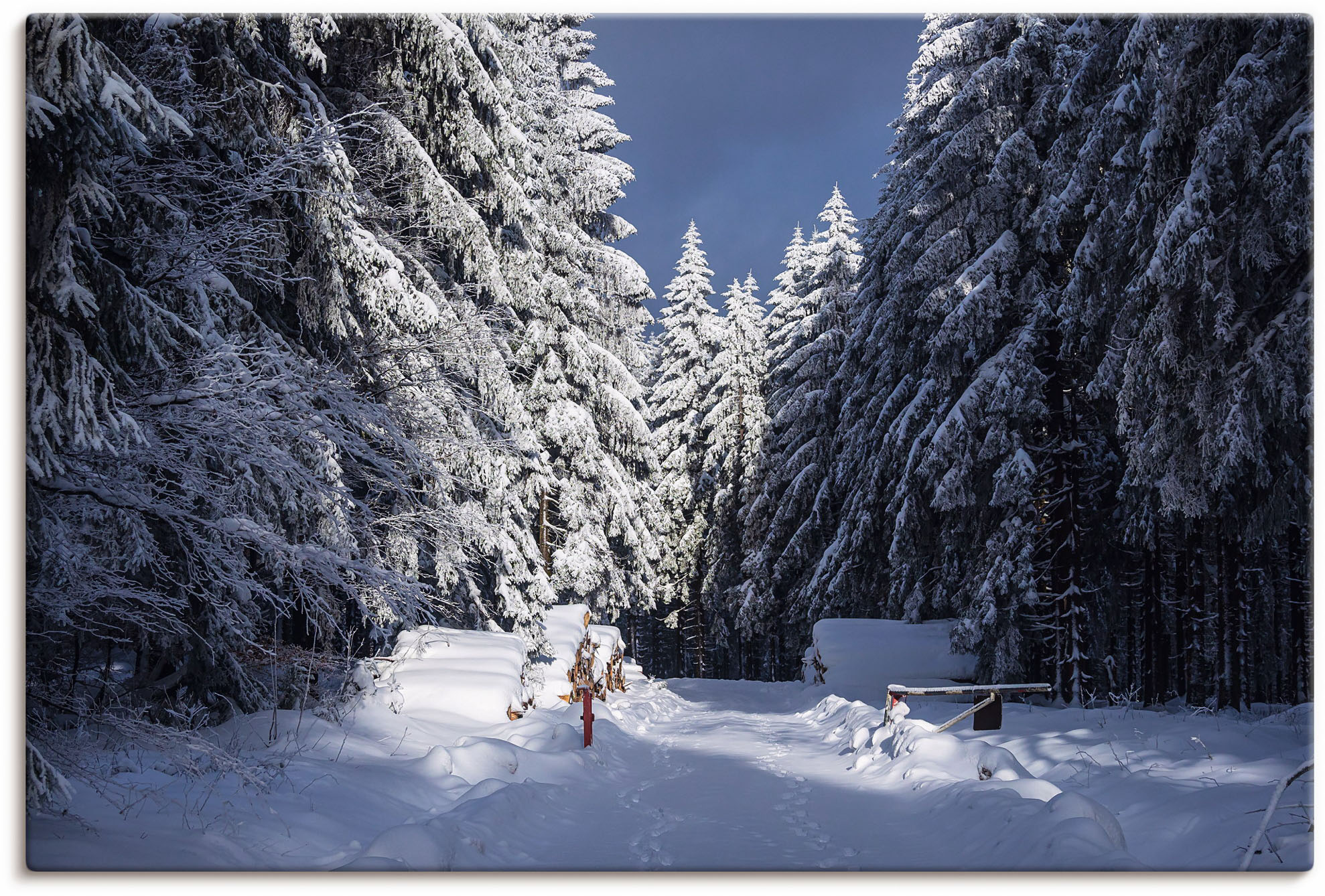 Artland Leinwandbild "Winter im Thüringer Wald II" Waldbilder 1 Stk. tlg. auf Holzrahmen gespannt