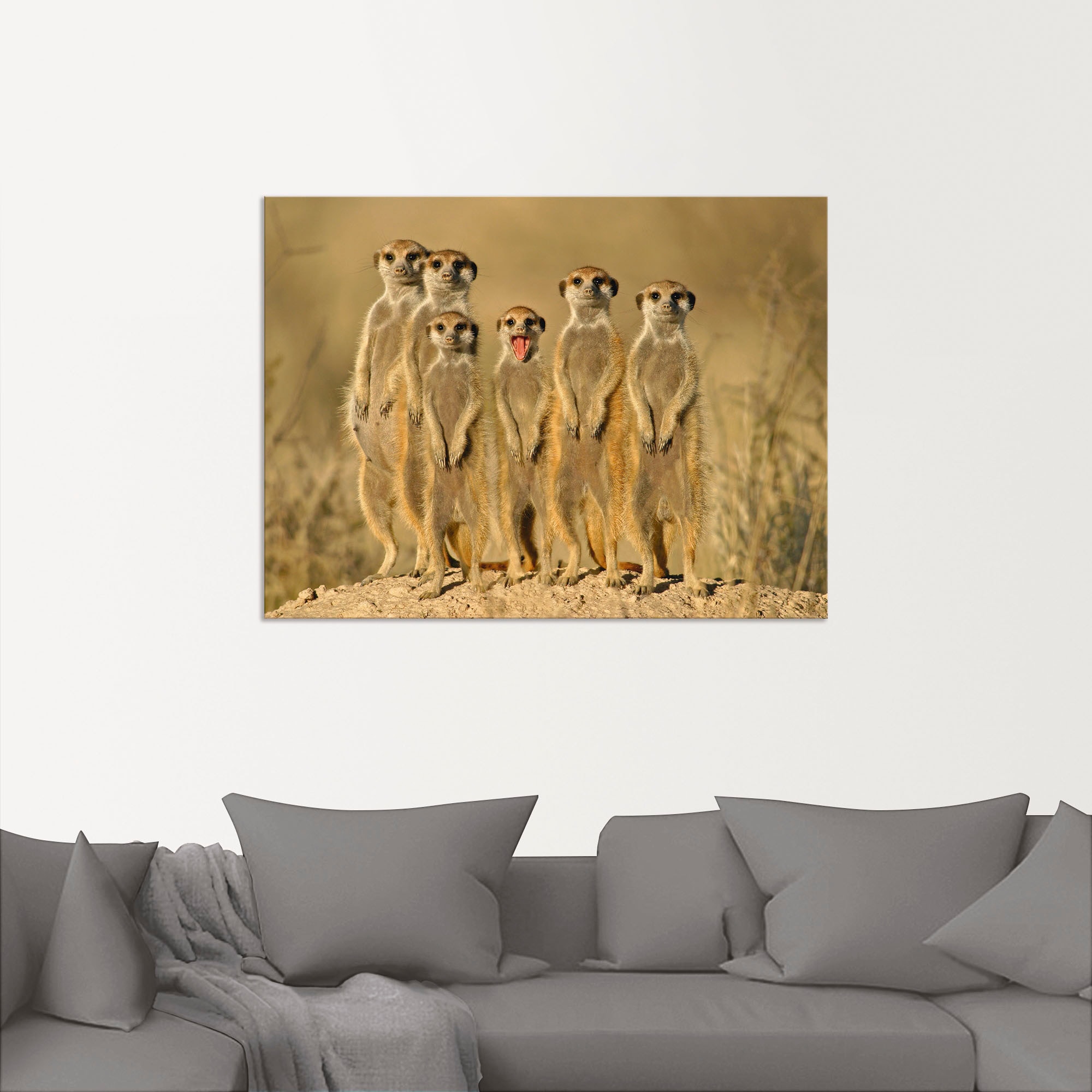 Artland Wandbild "Erdmännchen Familie", Wildtiere, (1 St.), als Alubild, Ou günstig online kaufen