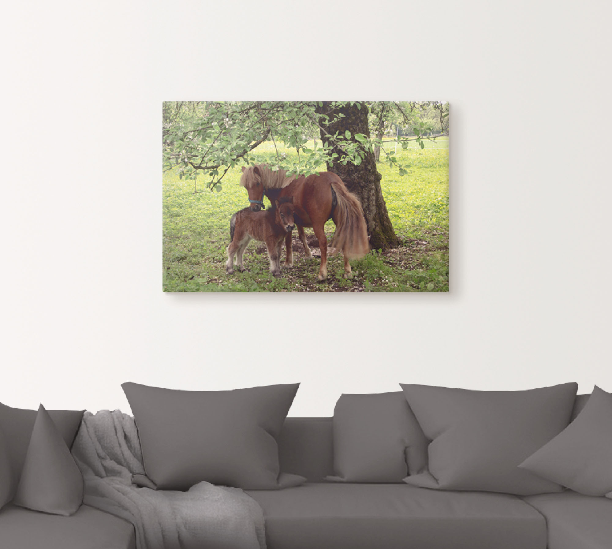 Thumbnail - Artland Wandbild "Pony - Mutterglück", Haustiere, (1 St.), als Alubild, Outdoorbild, Leinwandbild, Poster, Wandaufkleber