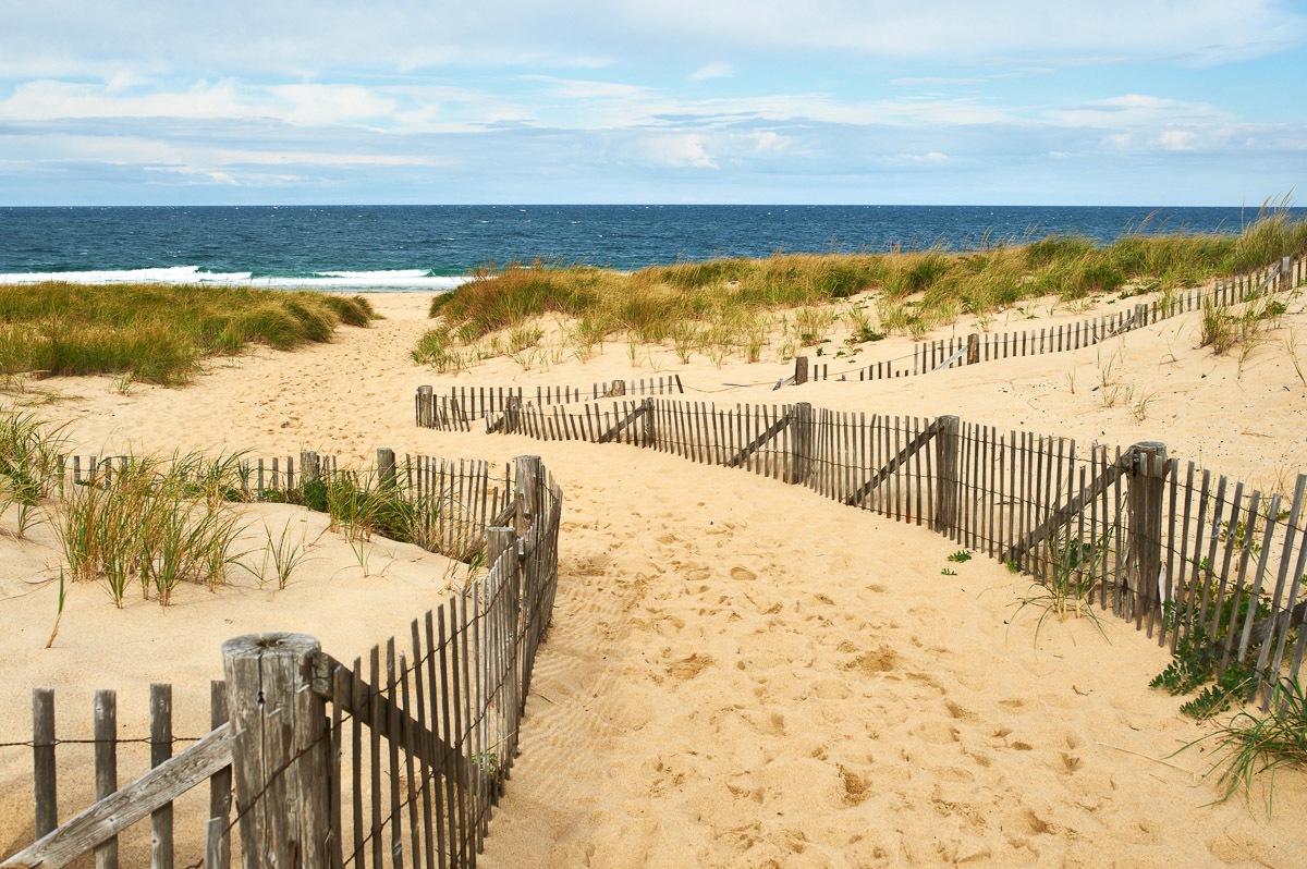 Fototapete »Cape Cod Dünen«