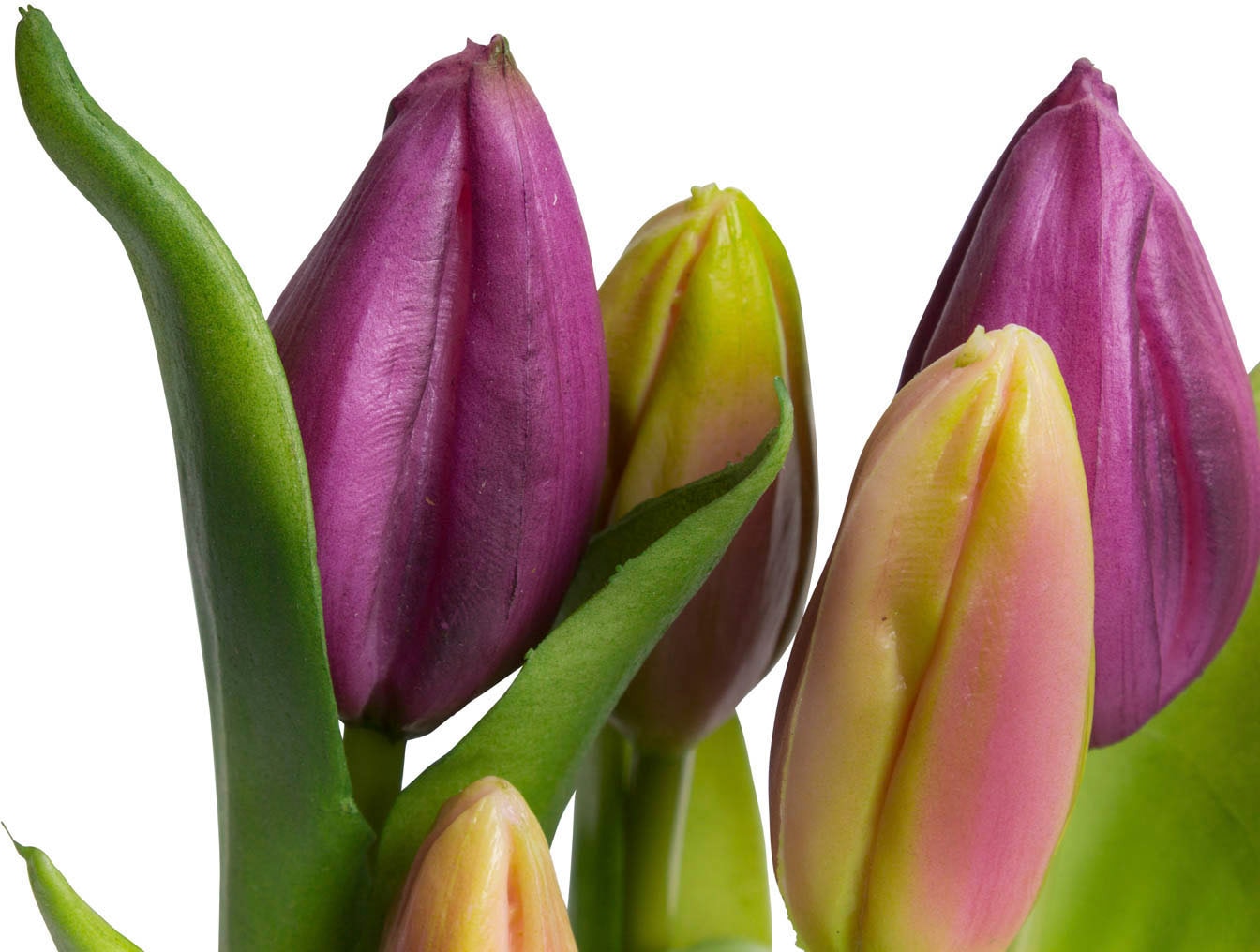 my home Kunstblume »Tulpenpflanze mit 5 Knospen«
