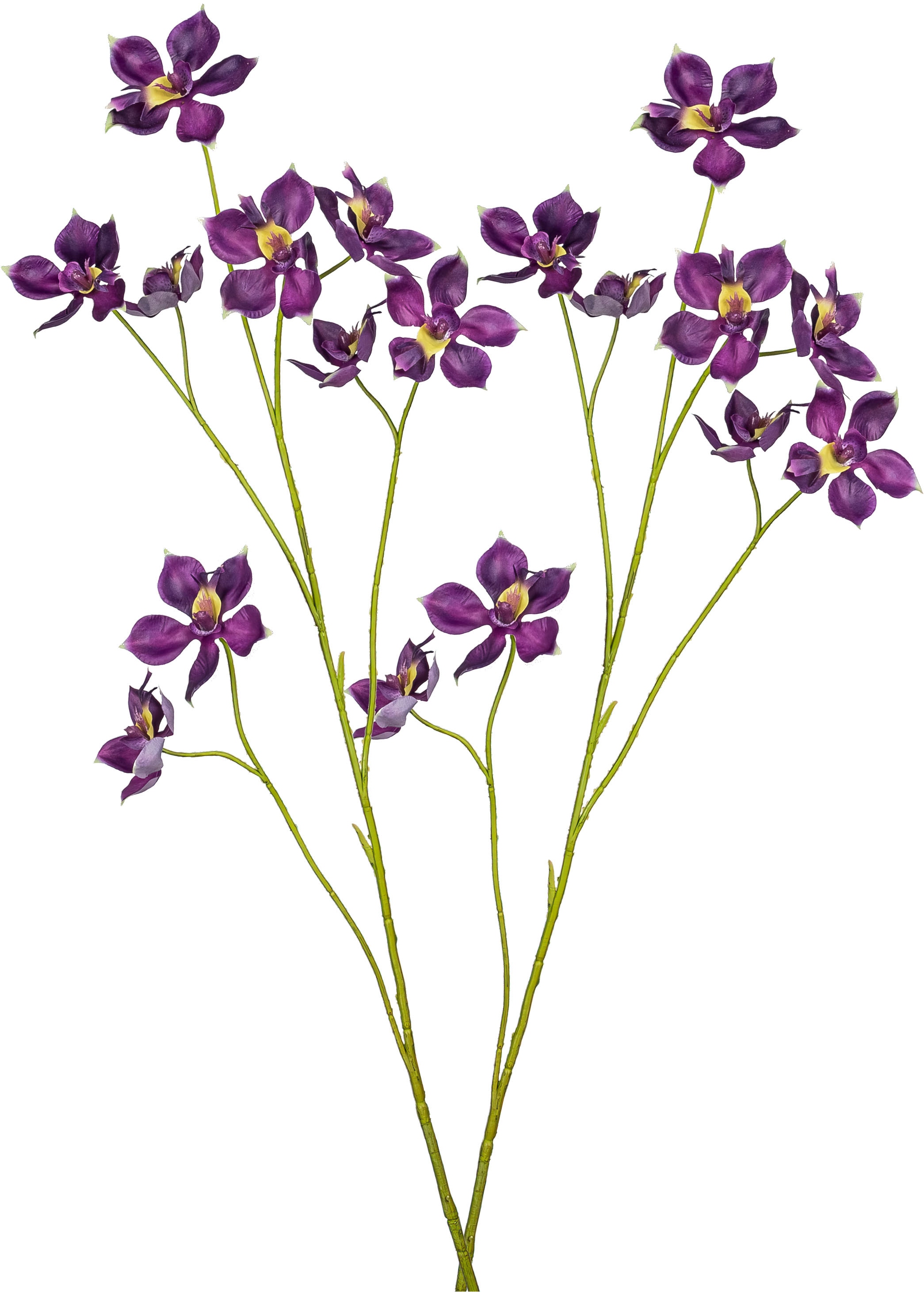 Creativ green Kunstblume »Pletia« mit traumhaft schönen Blüten