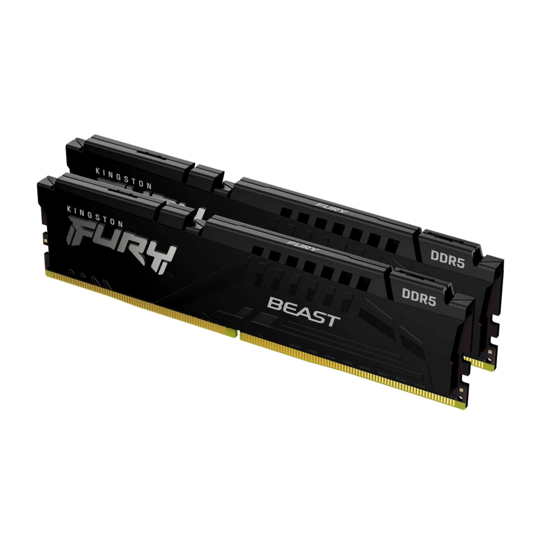 Kingston Arbeitsspeicher »Beast«