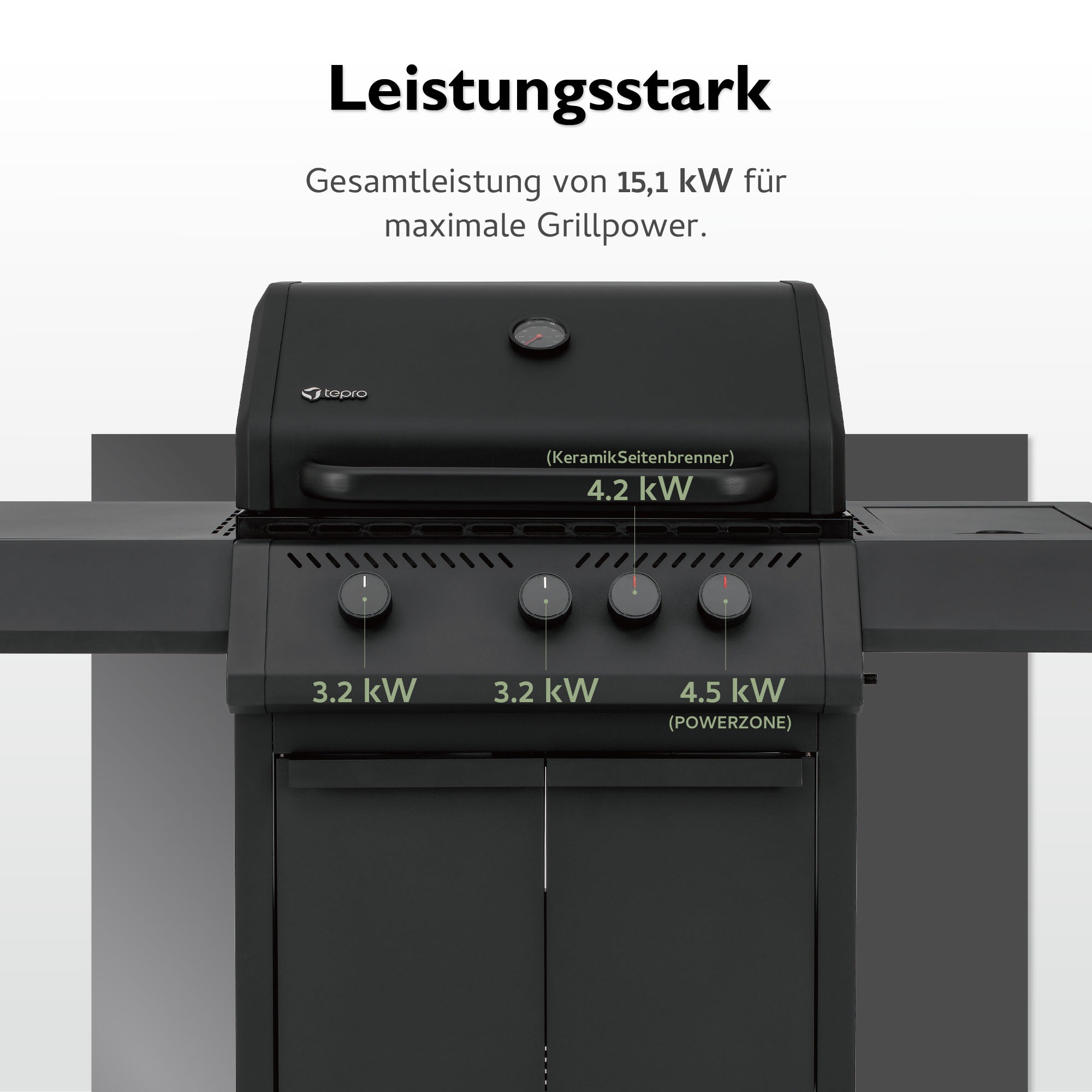 Tepro Gasgrill »Woodlake«