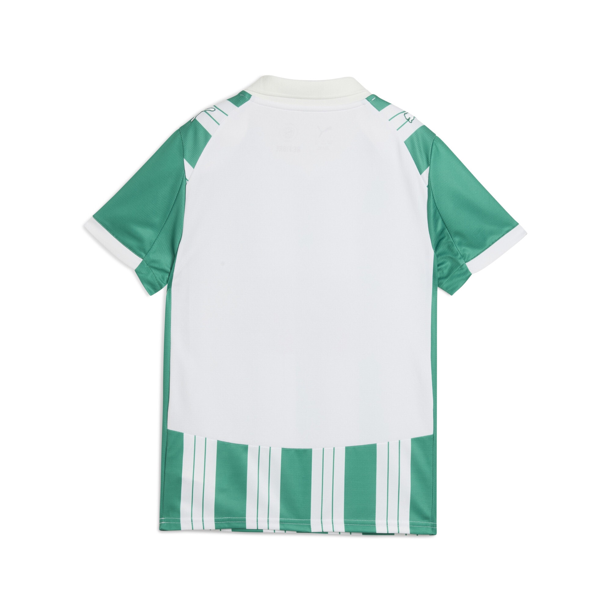 PUMA Trainingsshirt »SK Rapid Wien 25/26 Heimtrikot Jugendliche«