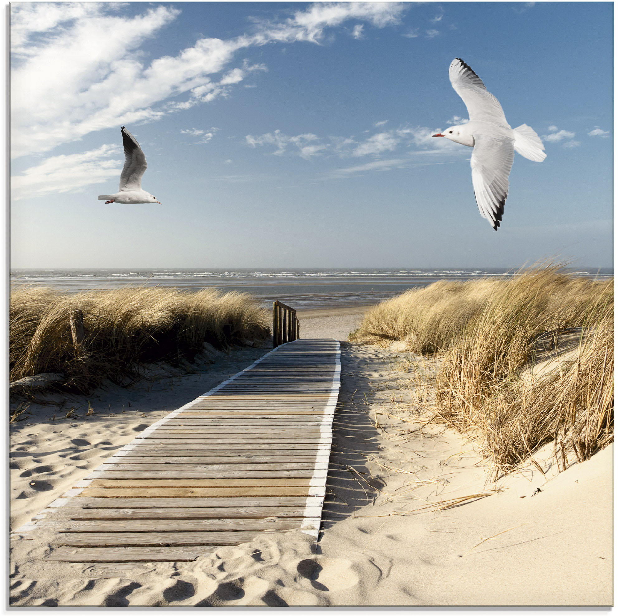 Artland Glasbild "Nordseestrand auf Langeoog mit Möwen" Strand 1 Stk. tlg. in verschiedenen Größen