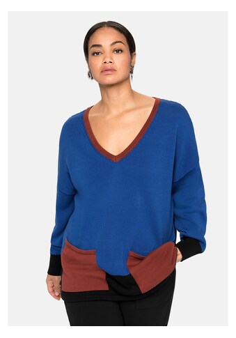 Sheego V-Ausschnitt-Pullover »Pullover«, im Colourblocking-Stil kaufen