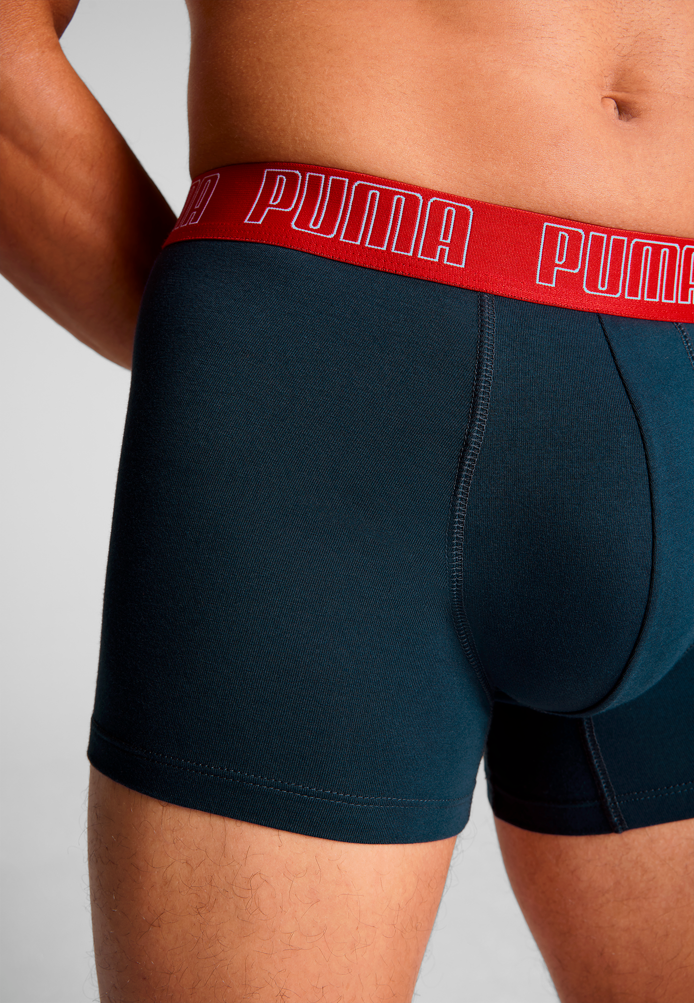 PUMA Trunk »PUMA MEN EVERYDAY TRUNKS 2P«, (2er Pack), mit Logobund