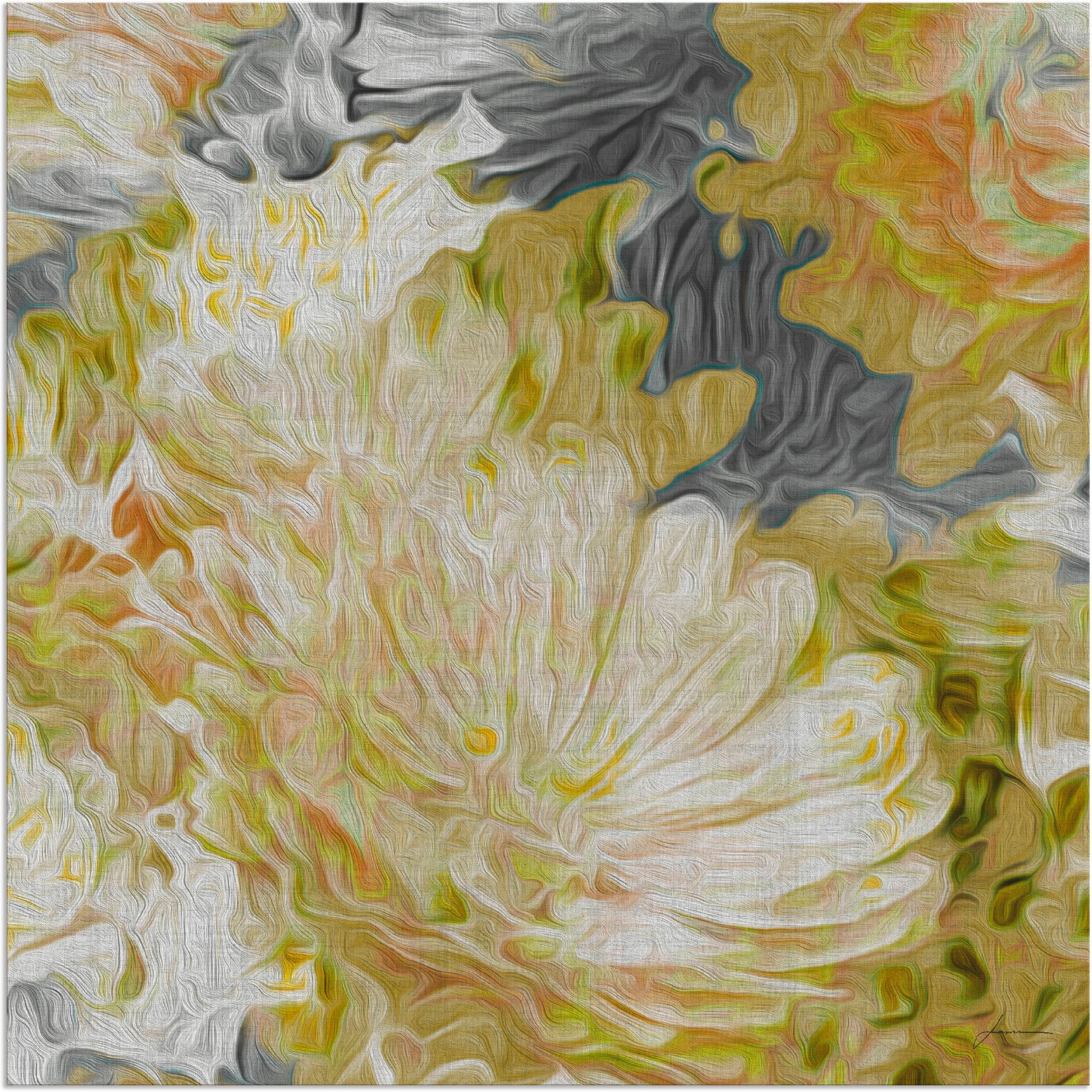 Artland Wandbild »Chrysanthemen in der Sonne II«, Blumen, (1 St.), als Alubild, Leinwandbild, Wandaufkleber oder Poster in versch. Größen